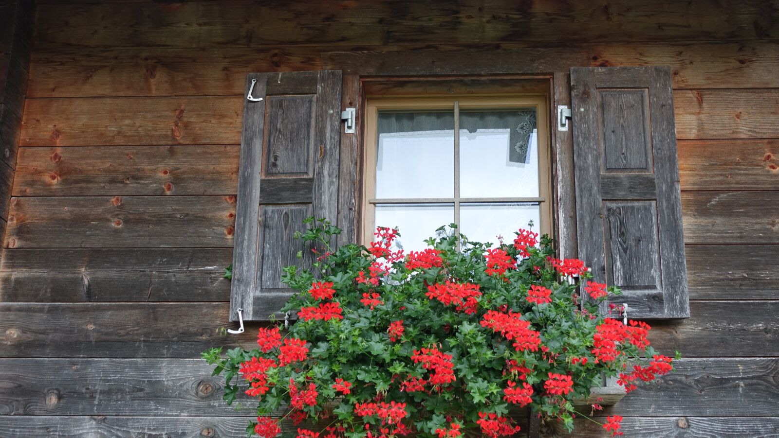 Sony Cyber-shot DSC-RX100 IV sample photo. Window, flowers, alpine photography