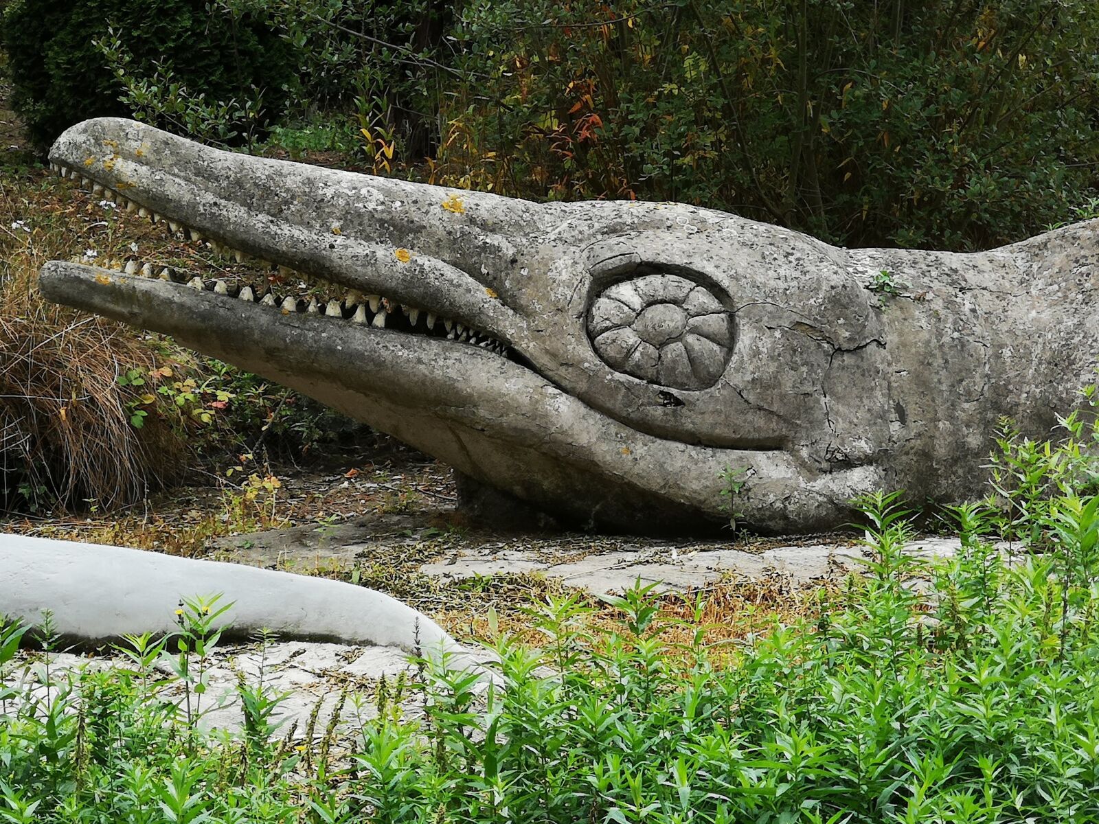 HUAWEI CLT-L09 sample photo. Dinosaur, crystal palace, london photography