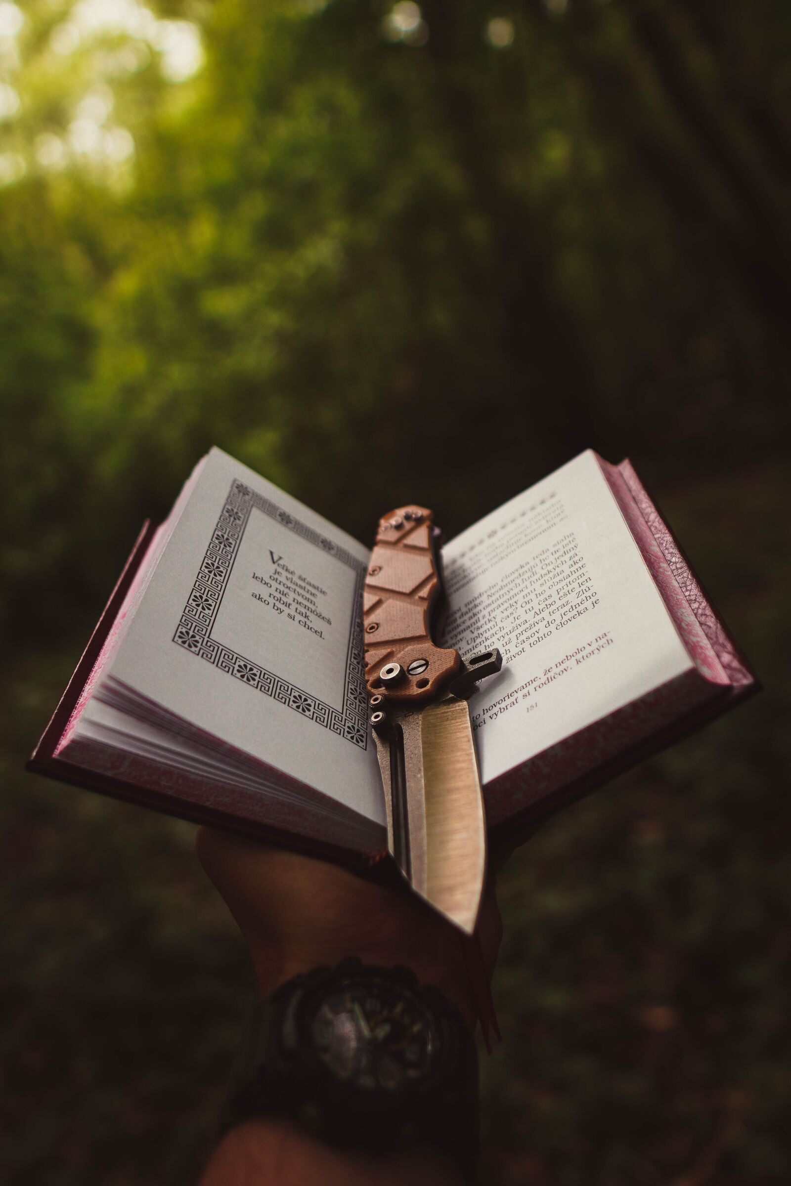 Sony a6400 + Sigma 16mm F1.4 DC DN | C sample photo. Knife, nature, green photography