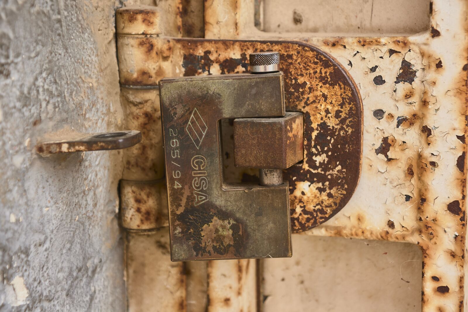 Nikon D7200 sample photo. Iron, oxide, padlock photography