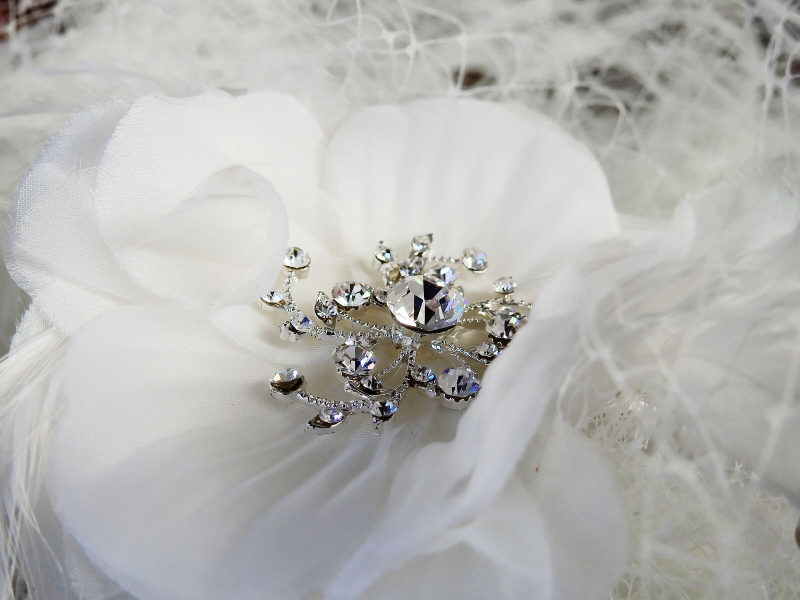 Nikon Coolpix P900 sample photo. Jewellery, deco, decoration photography