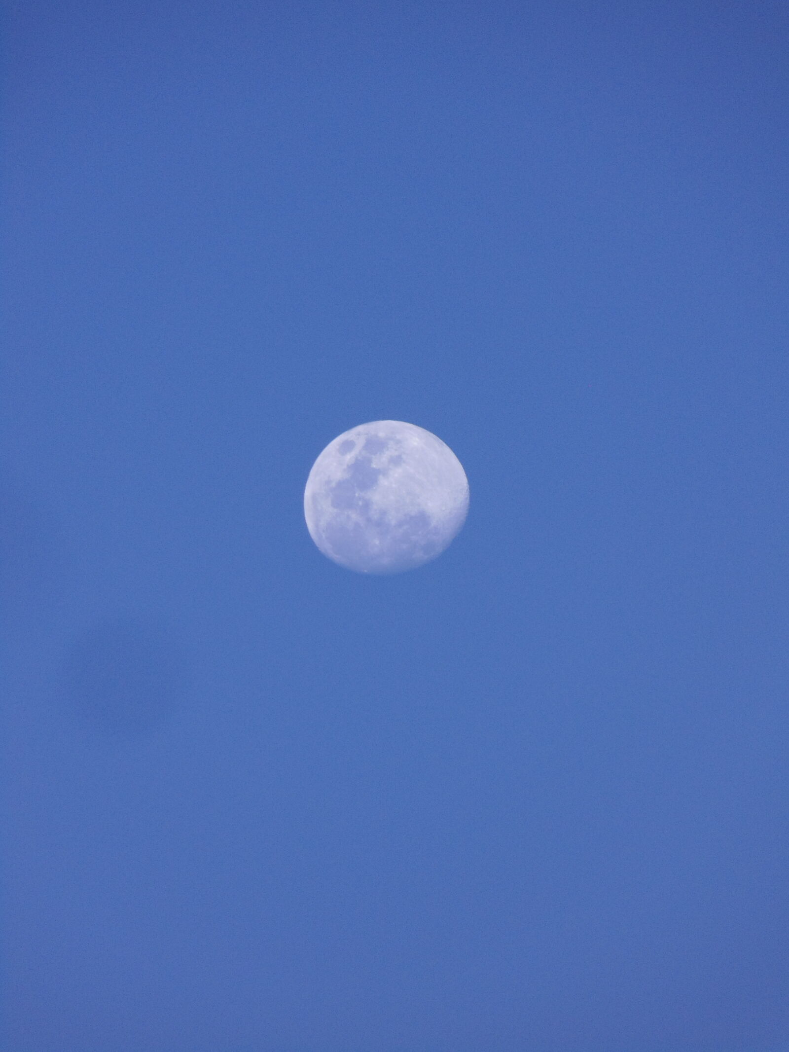 Sony Cyber-shot DSC-H200 sample photo