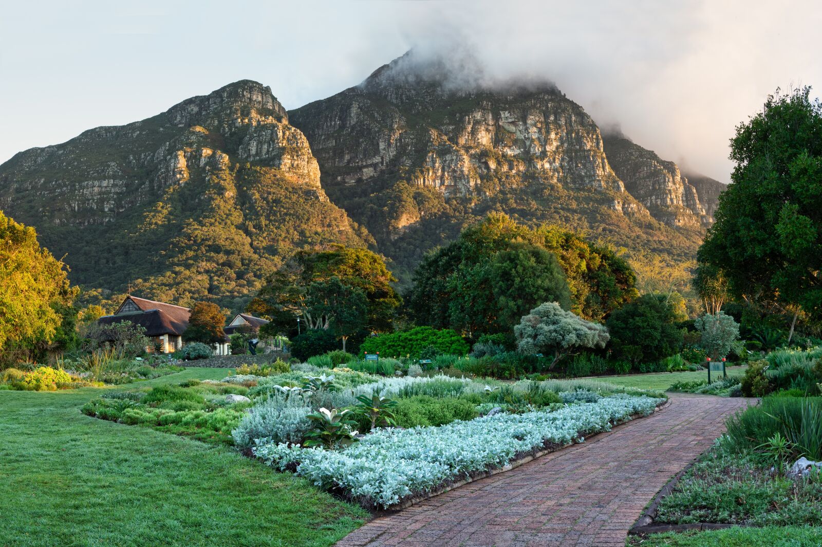 Olympus M.Zuiko Digital ED 12-100mm F4.0 IS Pro sample photo. Kirstenbosch, table mountain, mountain photography