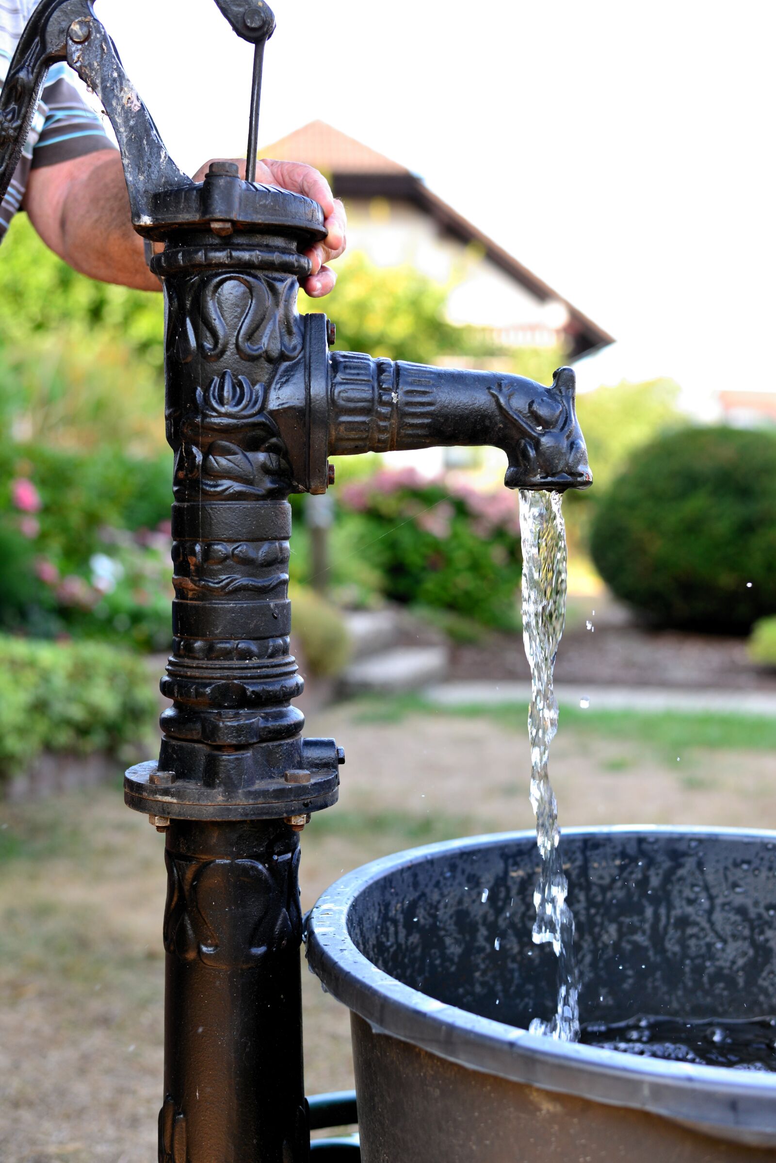 Nikon D610 sample photo. Garden pump, water pump photography