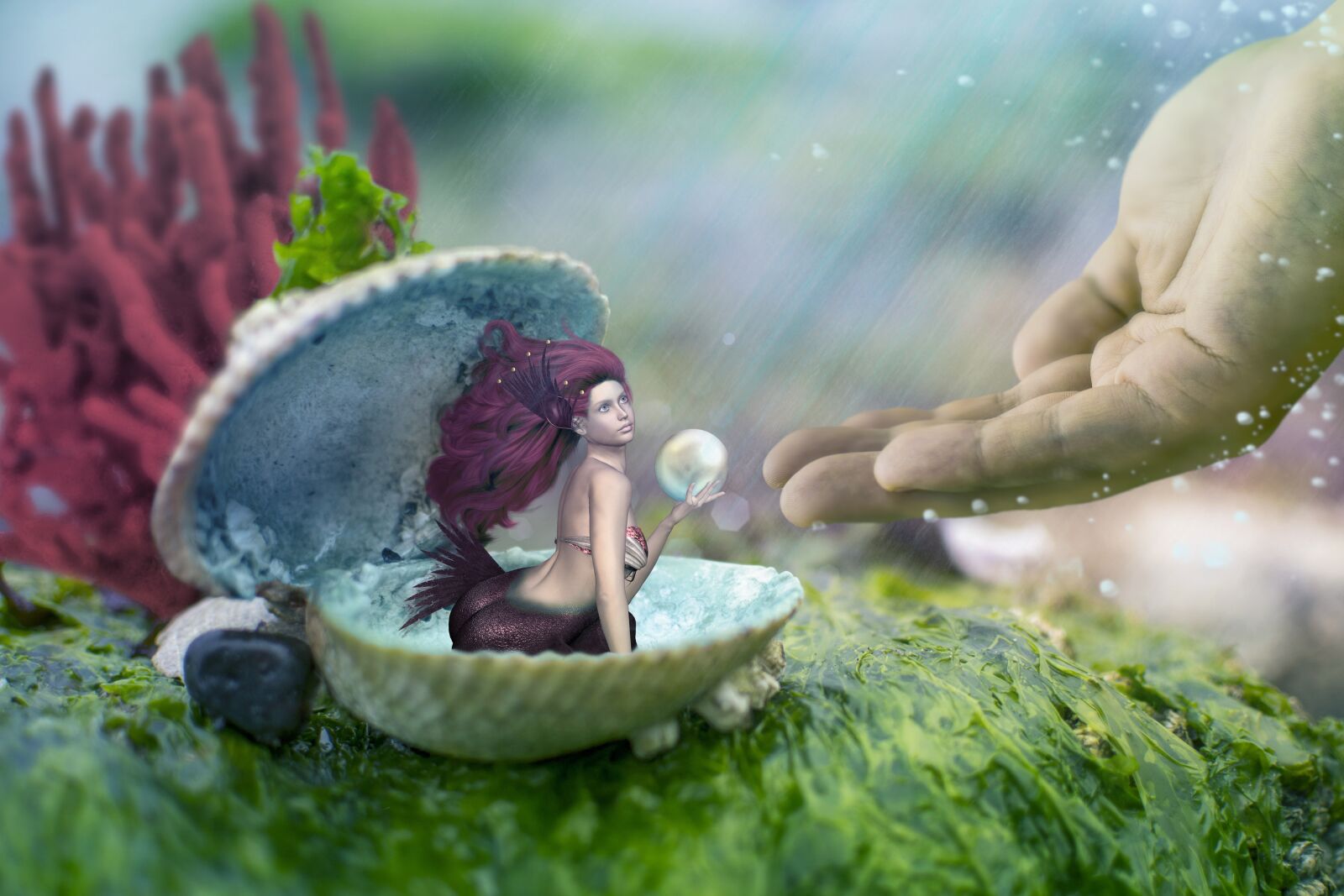 Nikon D3100 sample photo. Mermaid, shell, hand photography