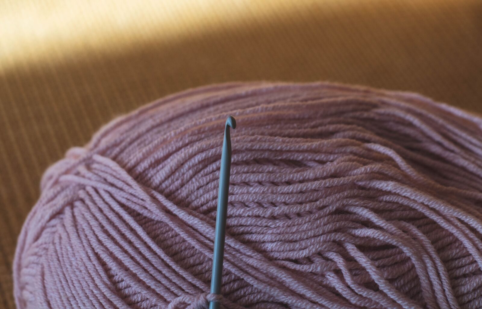 Canon EOS 1300D (EOS Rebel T6 / EOS Kiss X80) sample photo. Needle, yarn, knitting photography
