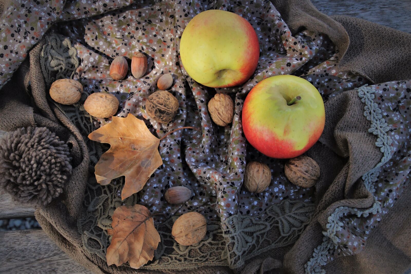 Canon EOS 80D sample photo. Autumn, apple, nuts photography