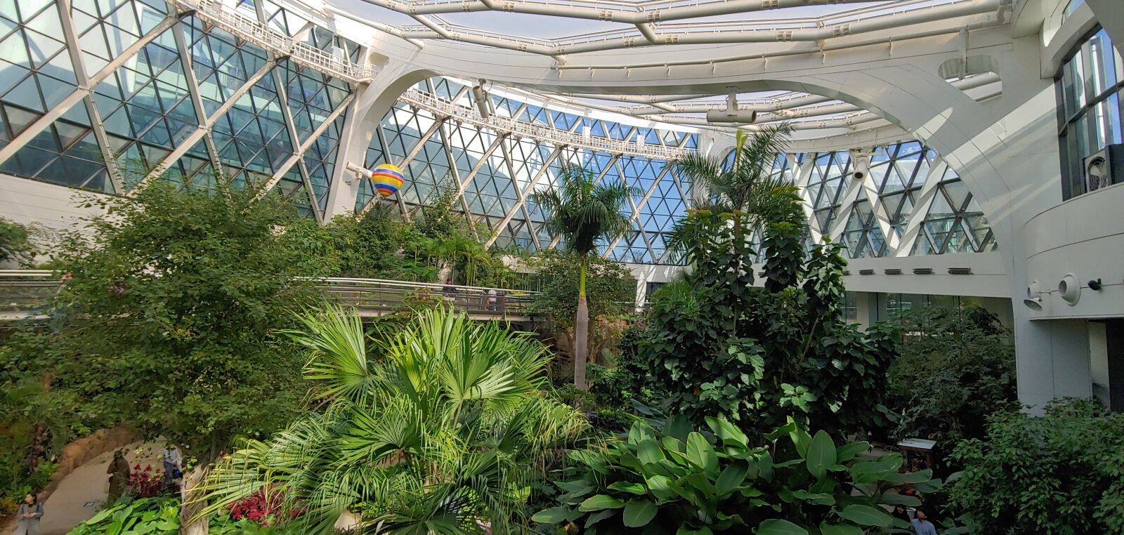 LG LM-G710N sample photo. Botanical garden, seoul, garden photography
