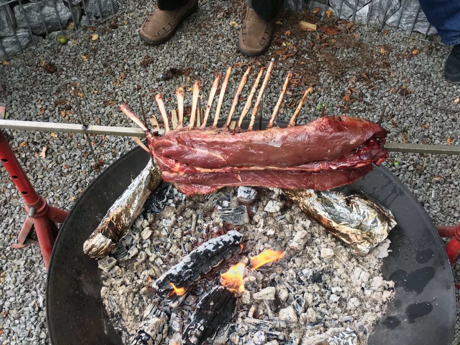 Apple iPhone 6s sample photo. Game, venison, barbecue photography