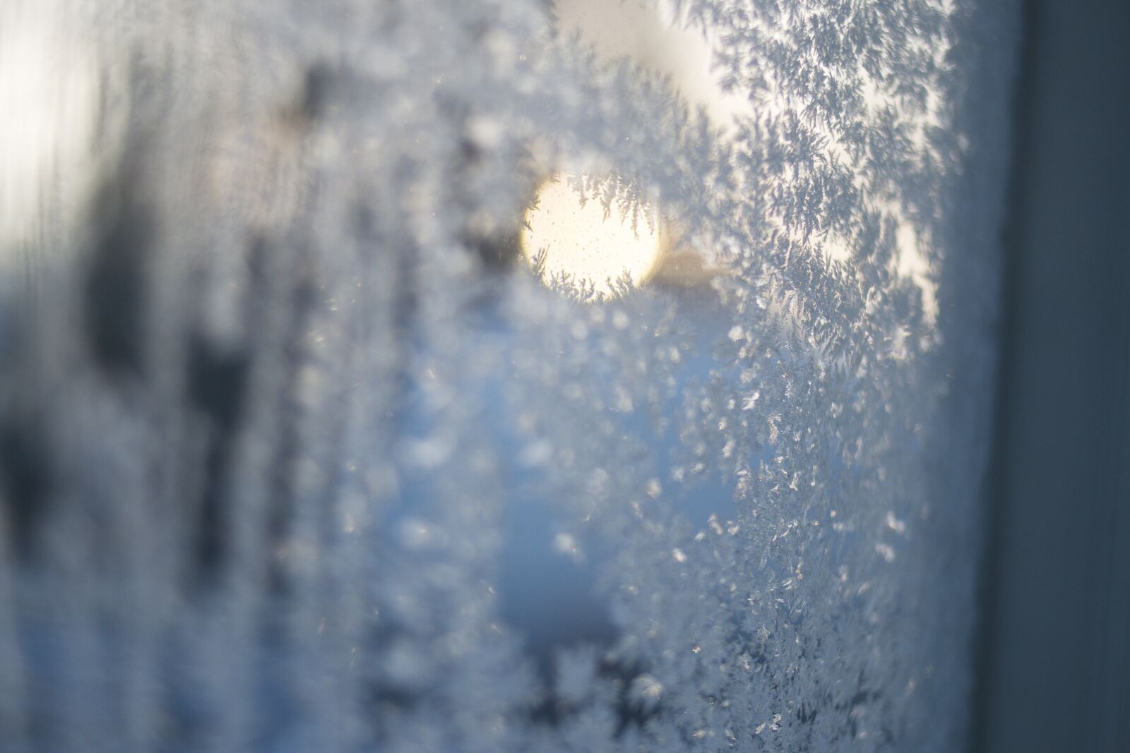 Canon EOS 70D + Canon EF 35mm F2 sample photo. Frost, light, ice photography