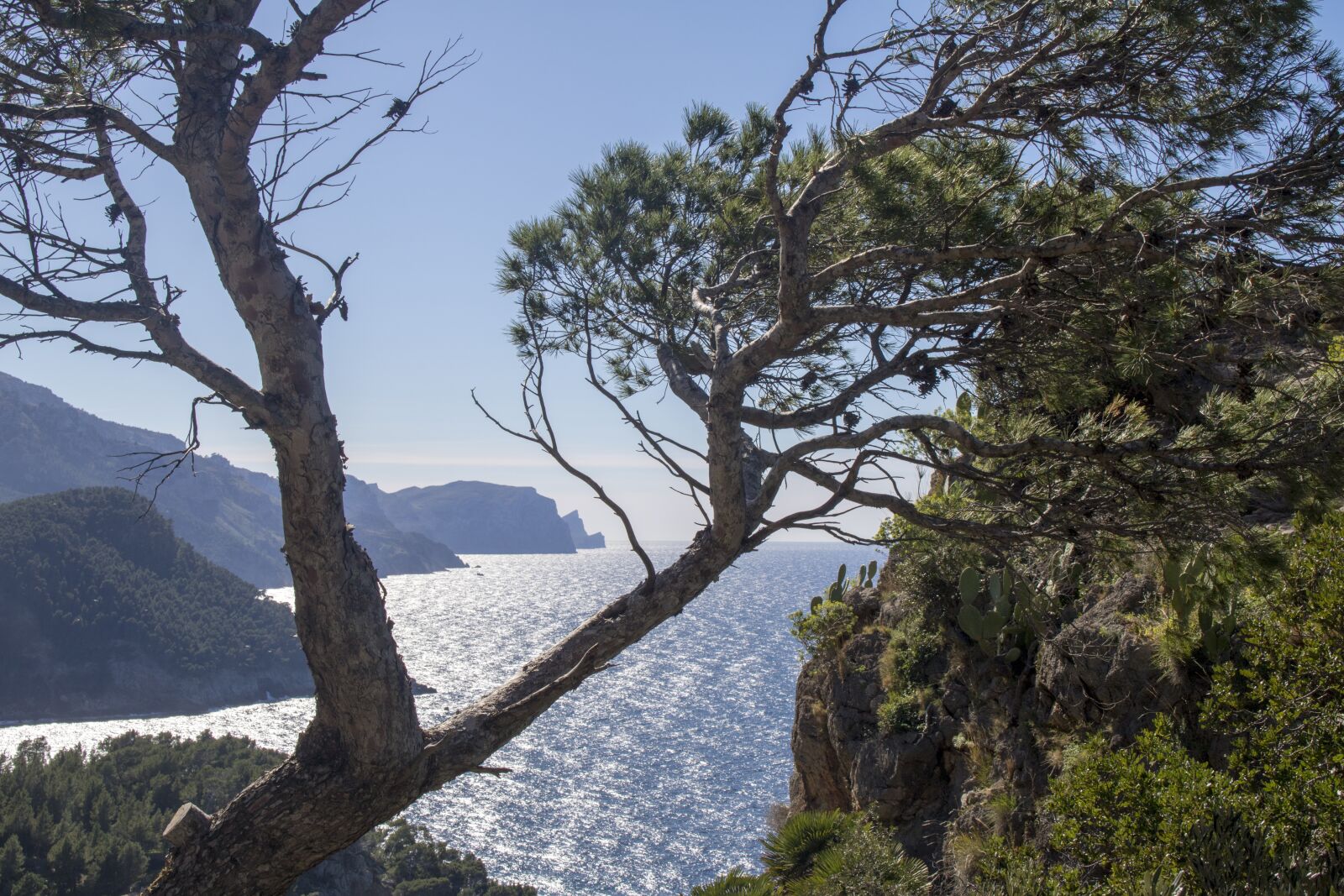 Canon EOS 750D (EOS Rebel T6i / EOS Kiss X8i) sample photo. Mallorca, banyalbufar, sea photography