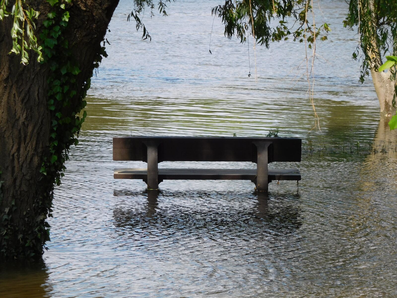 Nikon Coolpix S7000 sample photo. Bench, river, flood photography