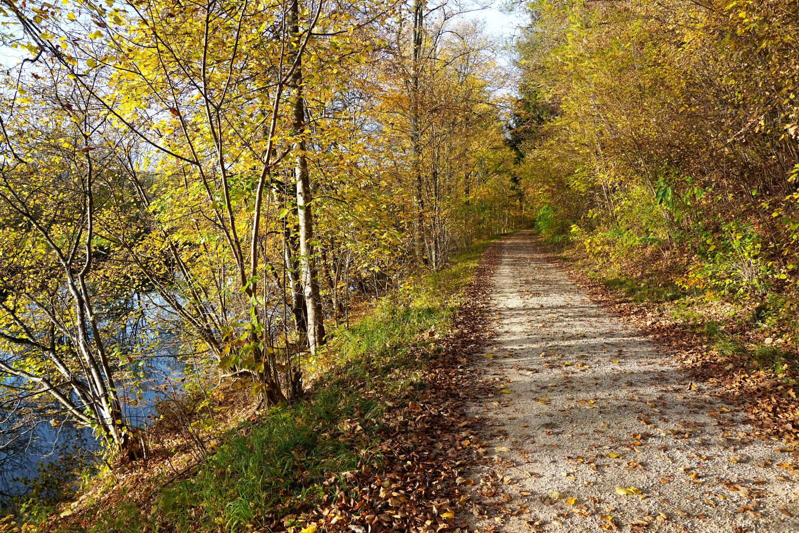 Sony ILCA-77M2 + Sony DT 16-50mm F2.8 SSM sample photo. Autumn, danube, nature photography