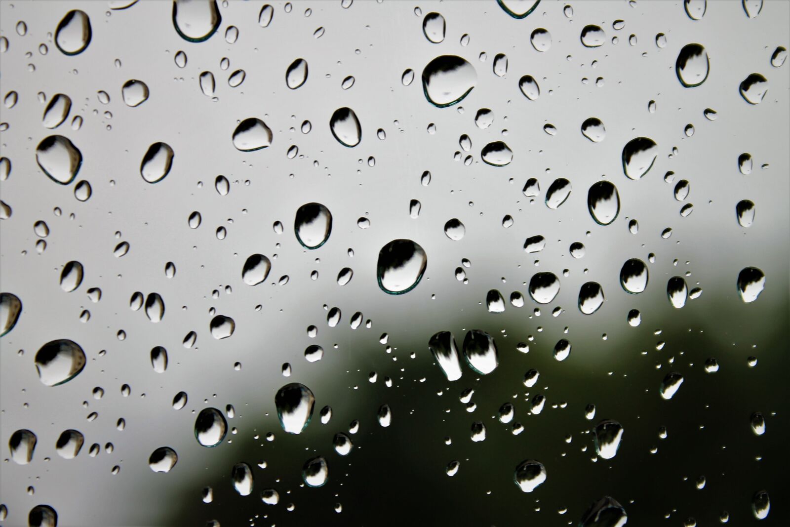 Canon EOS 1100D (EOS Rebel T3 / EOS Kiss X50) sample photo. Raindrop, rain, water photography