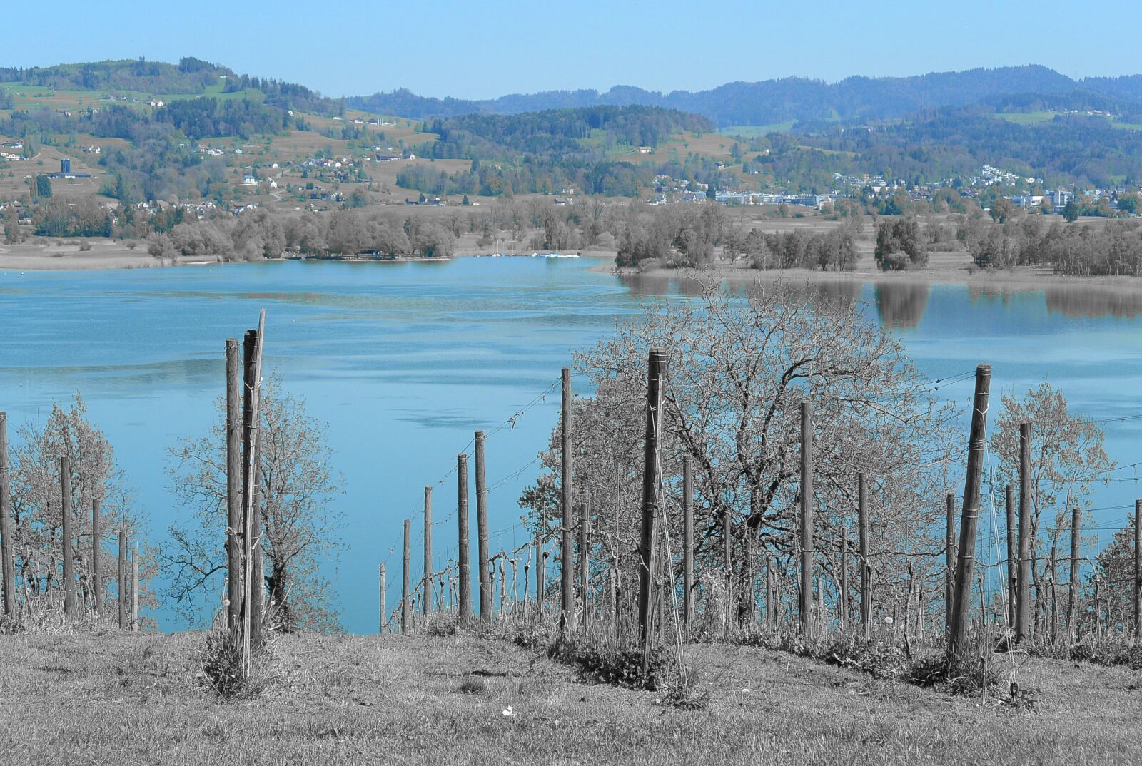 Nikon 1 S1 sample photo. Landscape, lake, pfäffikersee photography