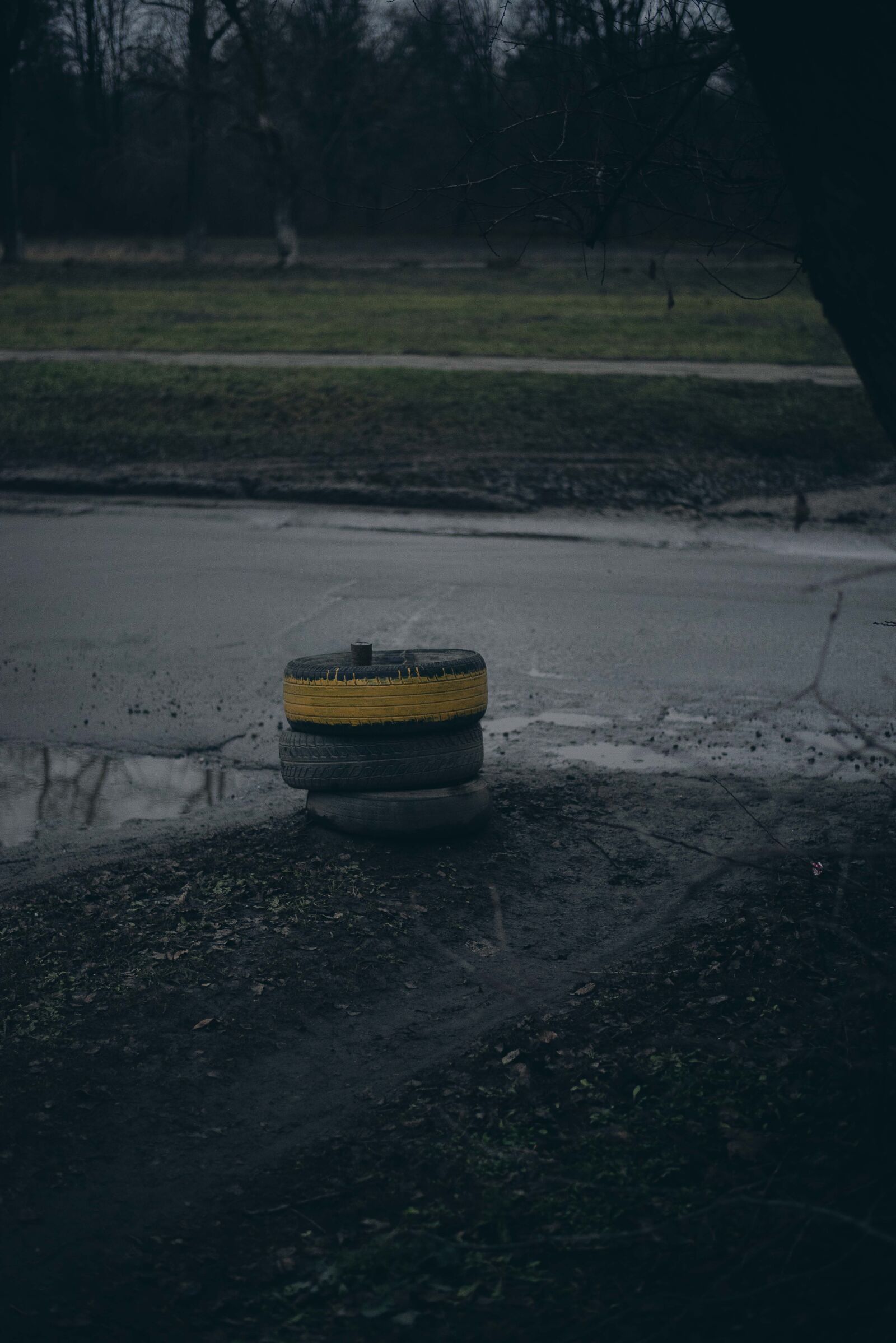 Nikon D750 + Nikon AF-S Nikkor 50mm F1.8G sample photo