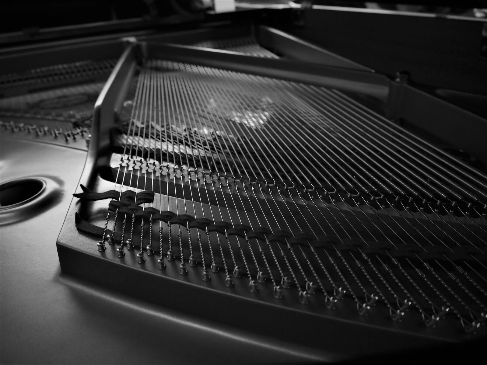Olympus OM-D E-M10 II sample photo. Monochrome, black and white photography