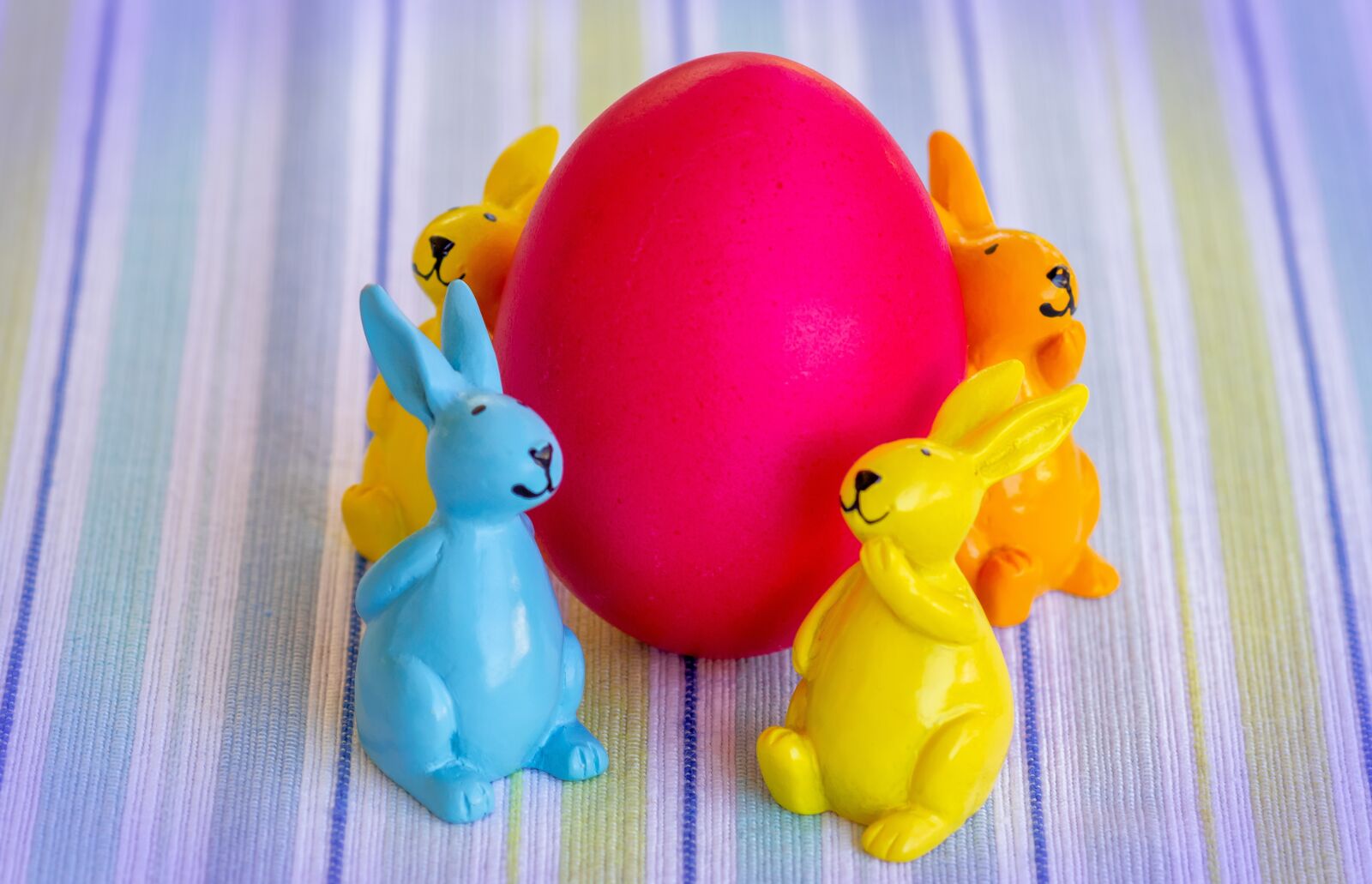 Canon EOS 80D sample photo. Easter, easter bunny, easter photography