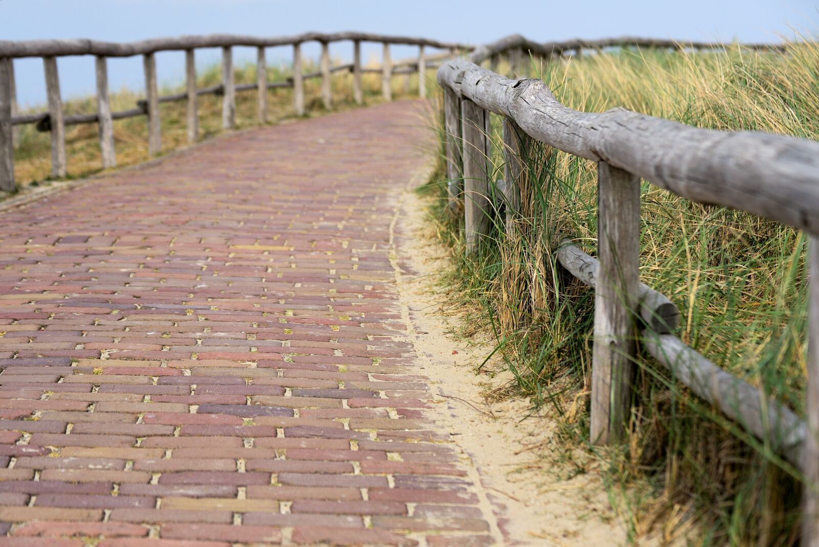 Nikon D610 sample photo. Away, patch, north sea photography