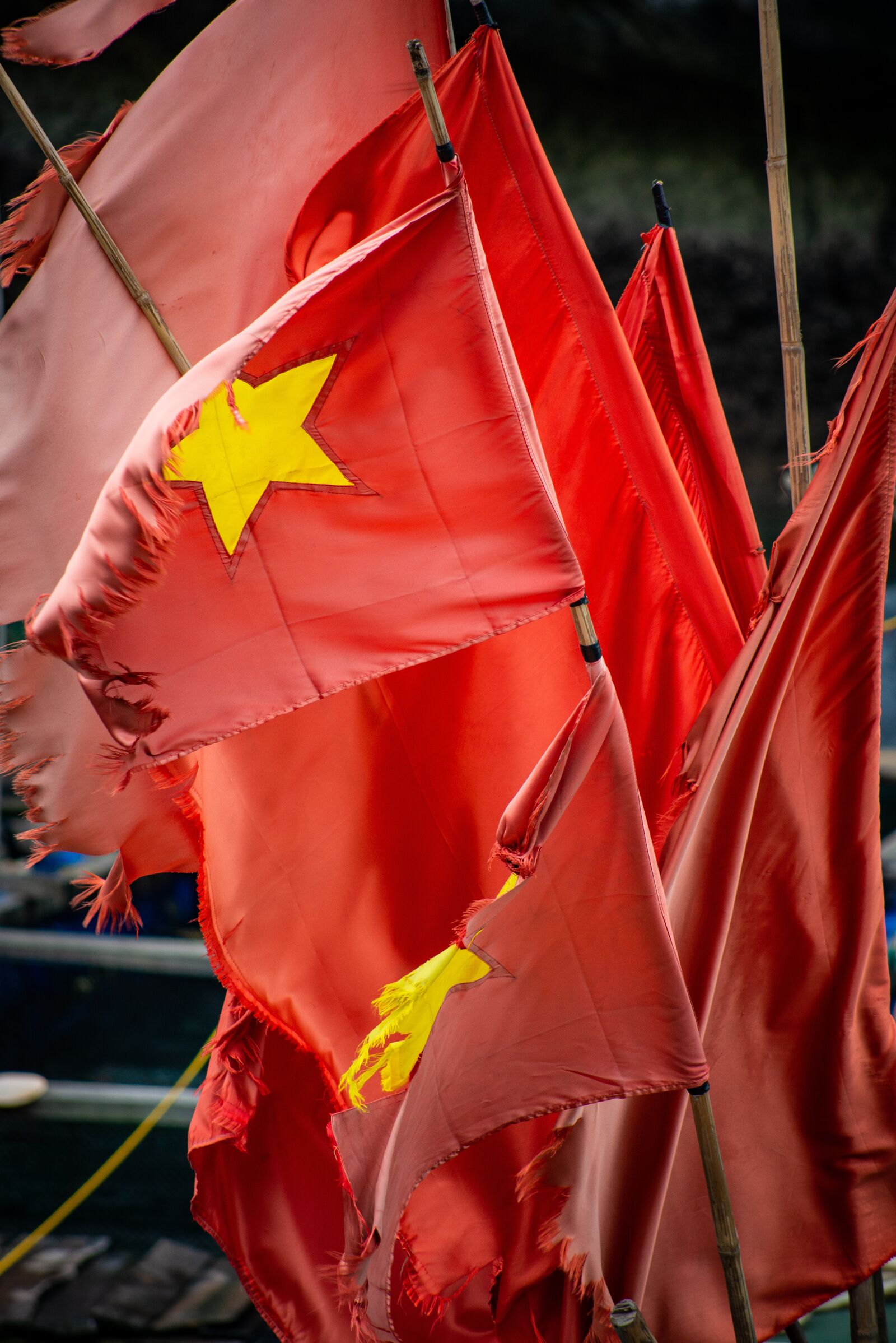 Nikon D600 sample photo. Vietnam, flag, tourism photography