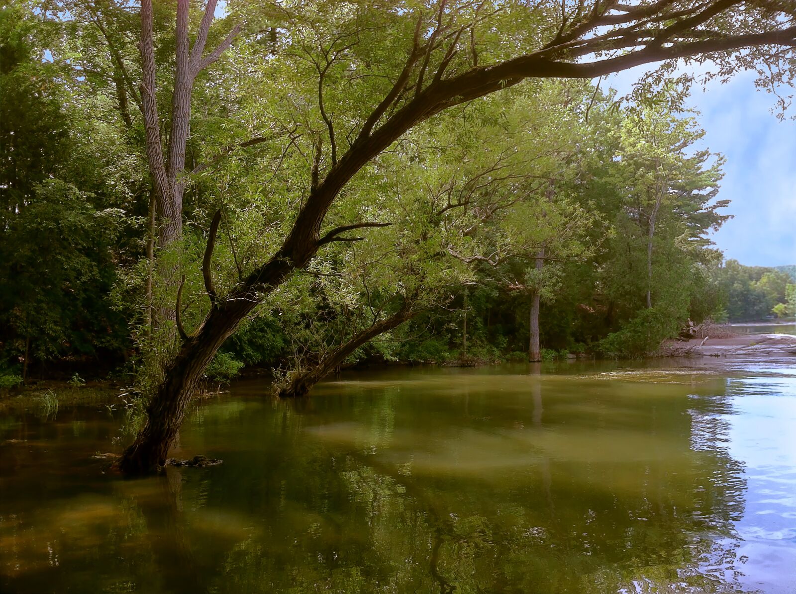 Apple iPhone 4 sample photo. Water, stream, river photography