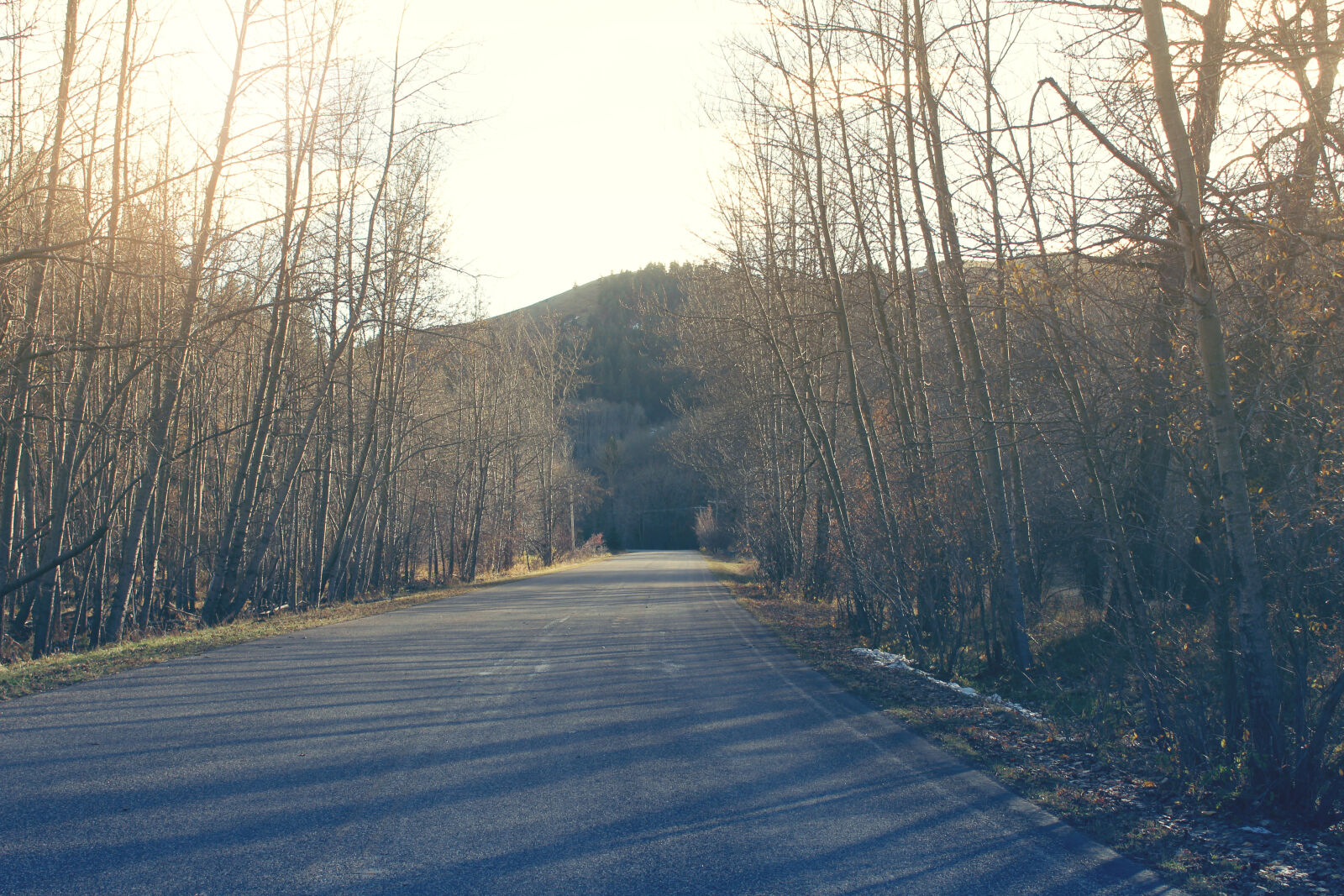 Canon EOS 650D (EOS Rebel T4i / EOS Kiss X6i) + Canon EF-S 18-135mm F3.5-5.6 IS STM sample photo. Mothernature, paved, road photography