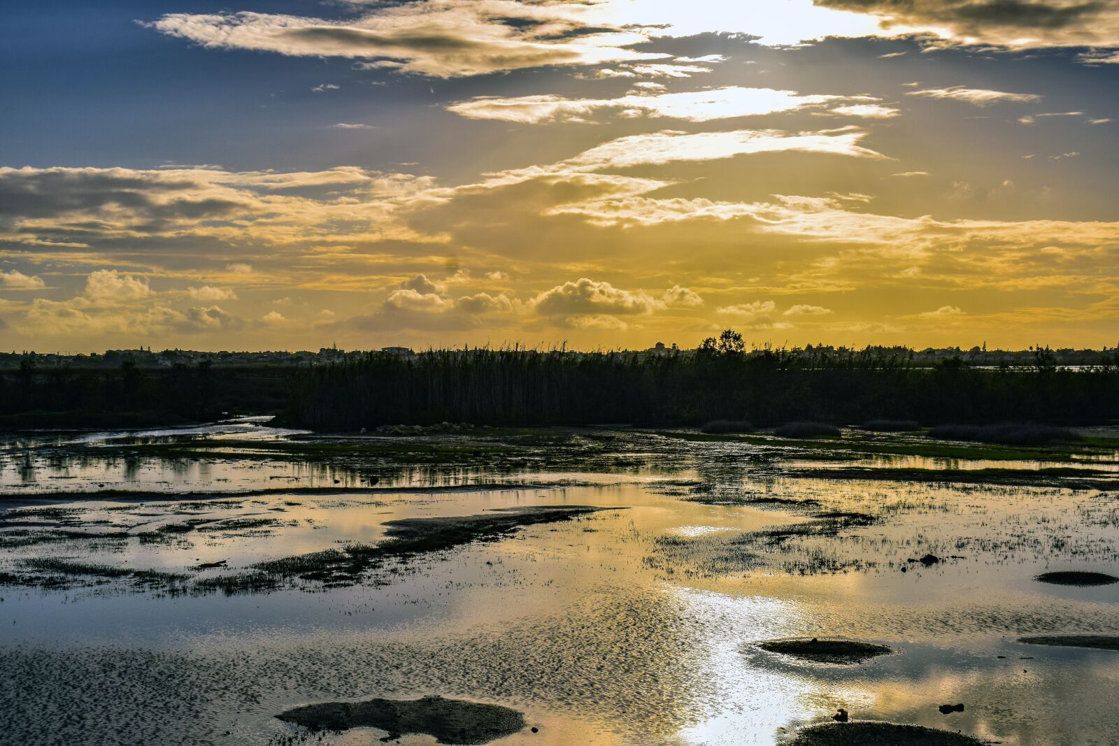Nikon D3300 sample photo. Swamp, water, nature photography