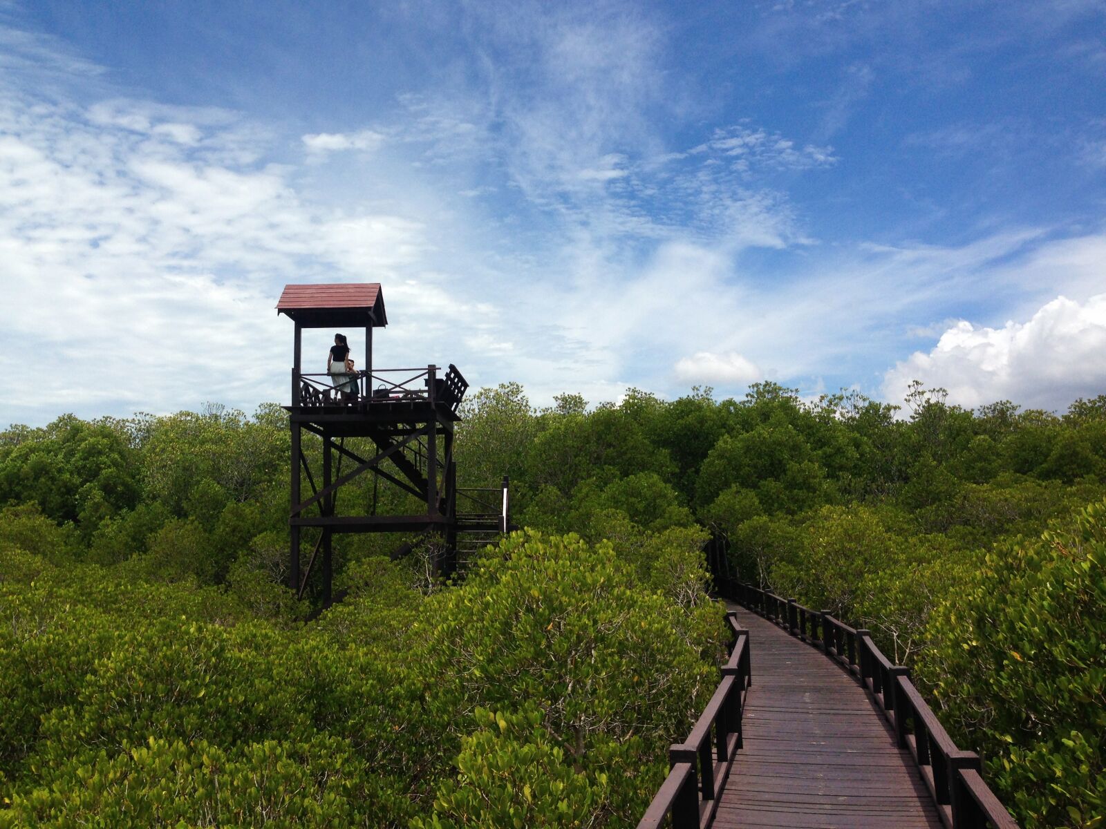 iPhone 5 back camera 4.12mm f/2.4 sample photo. Forest, walkway, landscape photography