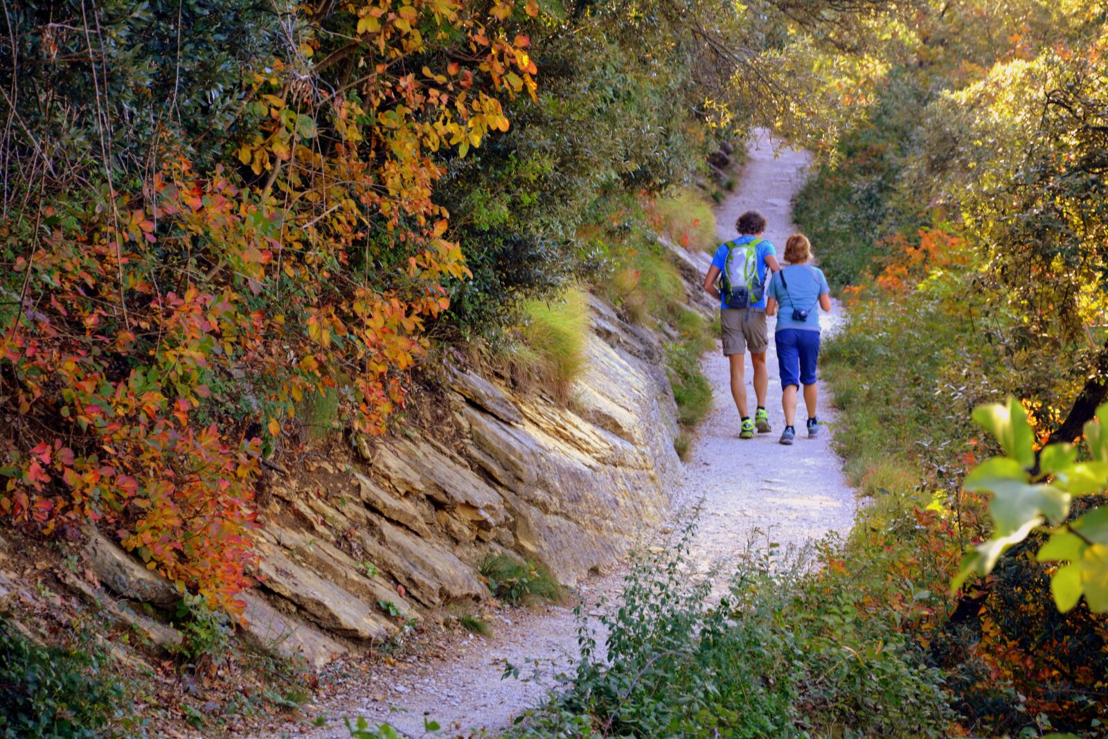 Nikon D7100 sample photo. Trail, autumn, couple photography
