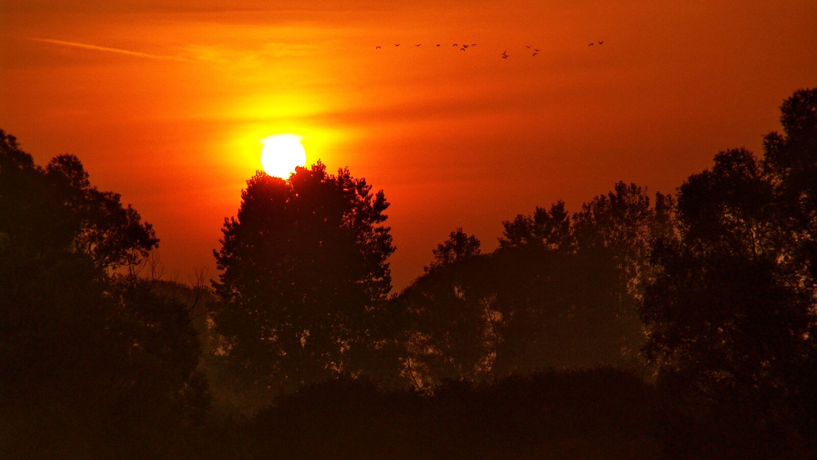 Sony DSC-F828 sample photo. Drava, sunset, river photography
