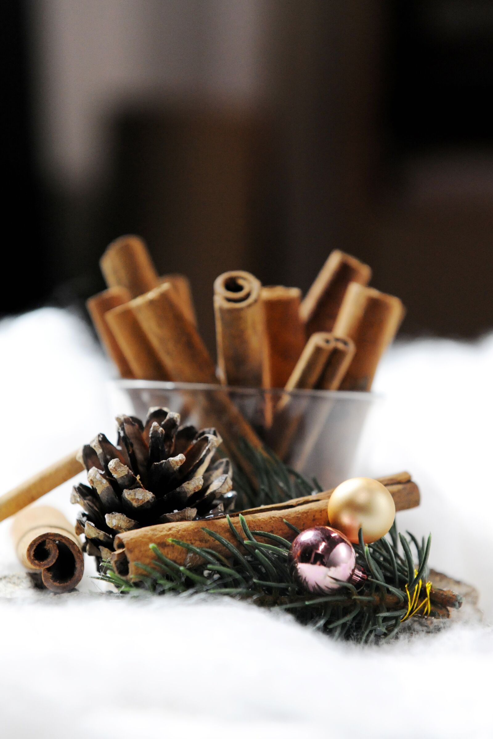 Nikon D3X sample photo. Christmas decoration, cinnamon, tap photography