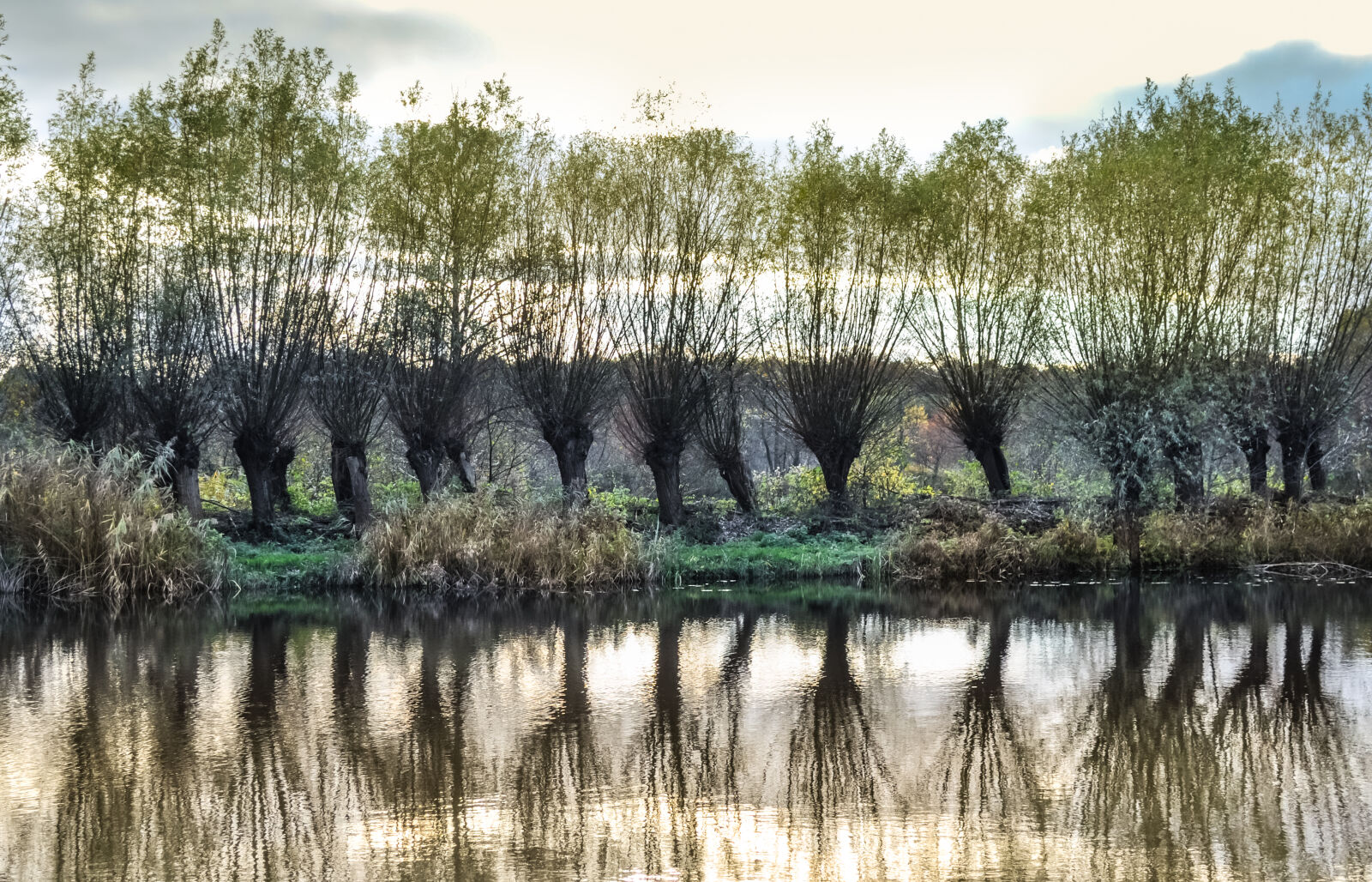Nikon D5000 sample photo. Cold, lake, reflection, trees photography