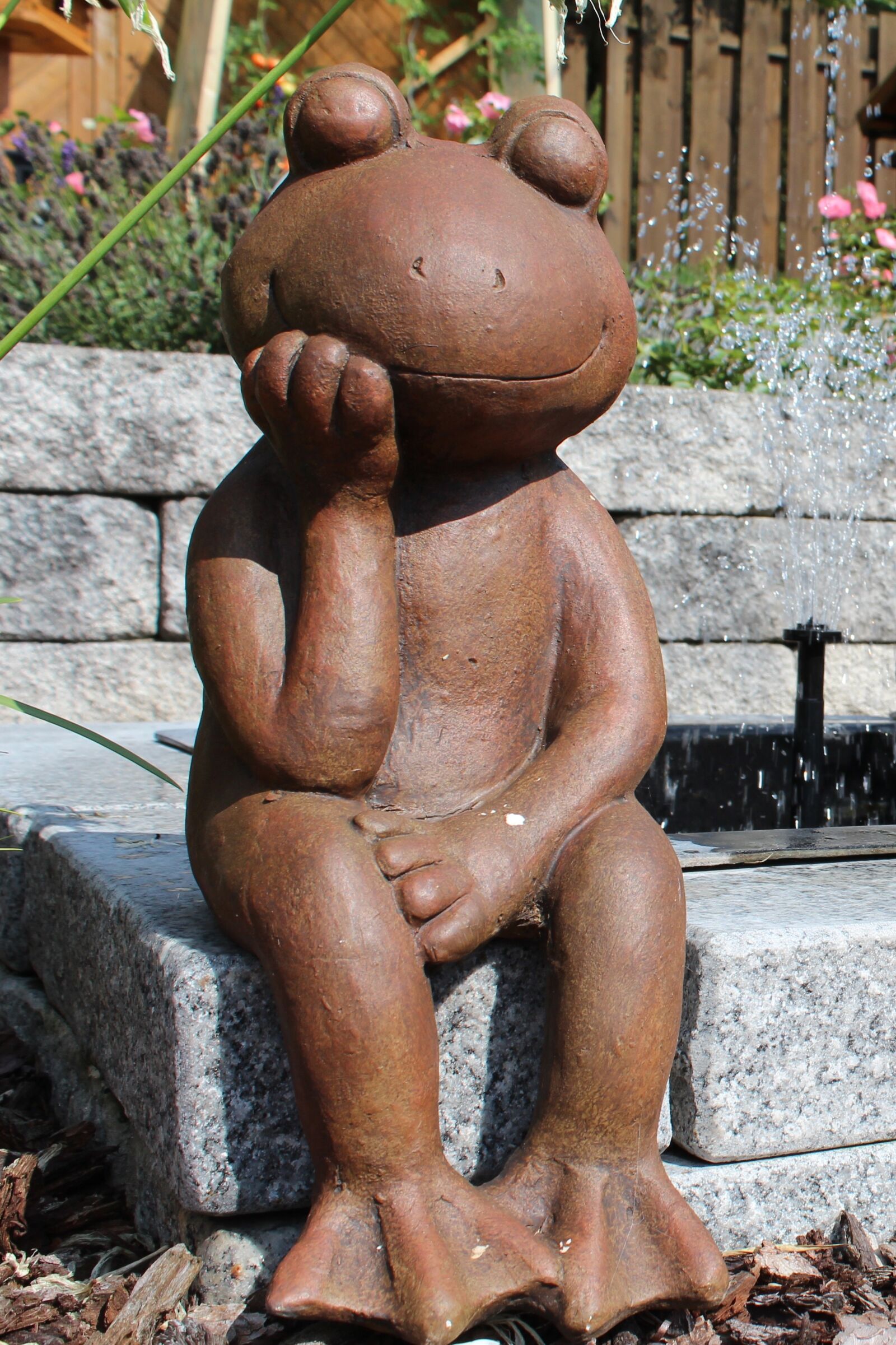 Canon EOS 600D (Rebel EOS T3i / EOS Kiss X5) sample photo. Garden, frog, figure photography