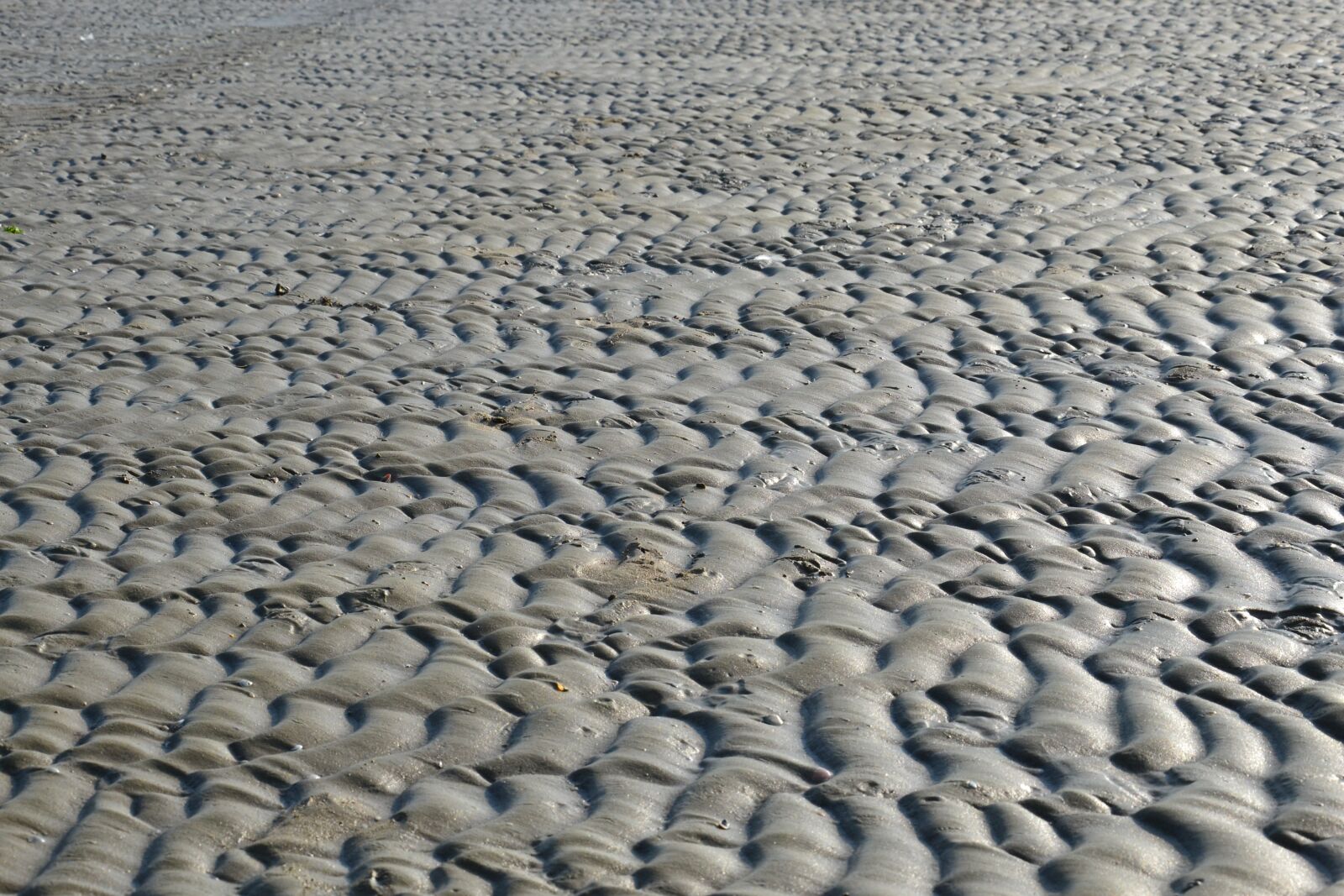 Nikon D3100 sample photo. Beach, ebb, sea photography