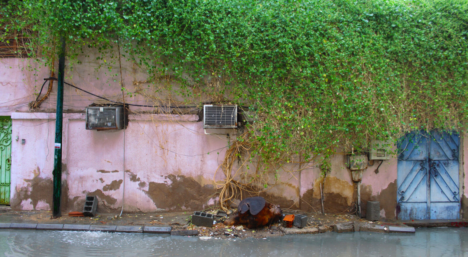 Canon EOS 1200D (EOS Rebel T5 / EOS Kiss X70 / EOS Hi) sample photo. Beauty, city, colors, dirt photography