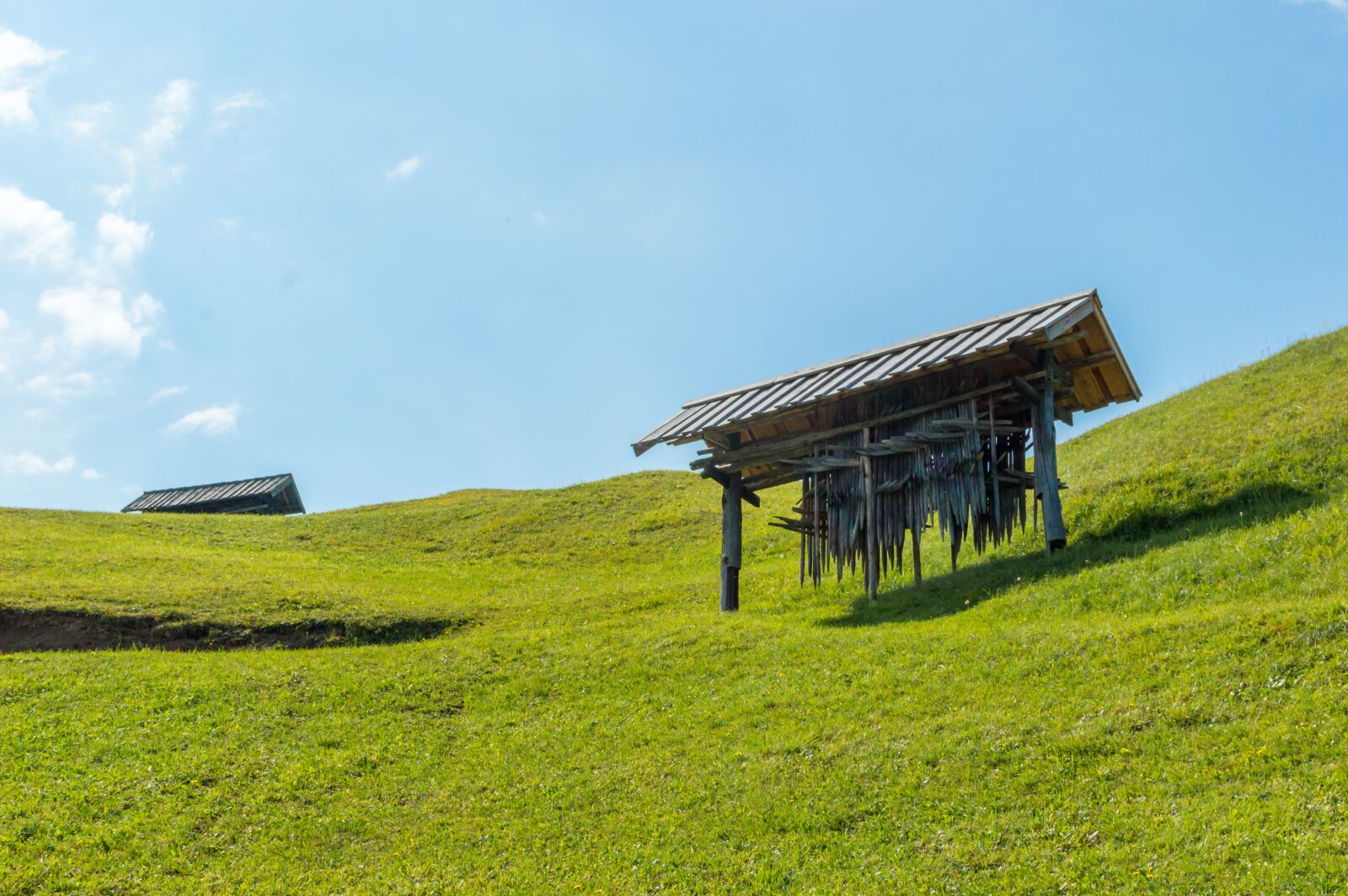 Nikon D3200 sample photo. Mountain meadow, autumn, nature photography