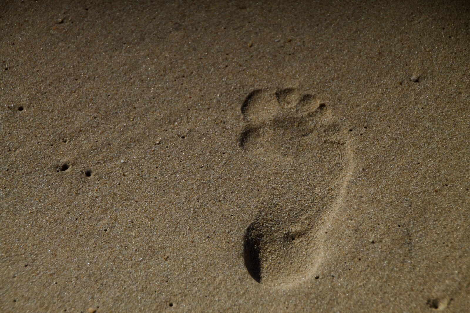 Canon EOS 1100D (EOS Rebel T3 / EOS Kiss X50) sample photo. Sand, footprint, beach photography