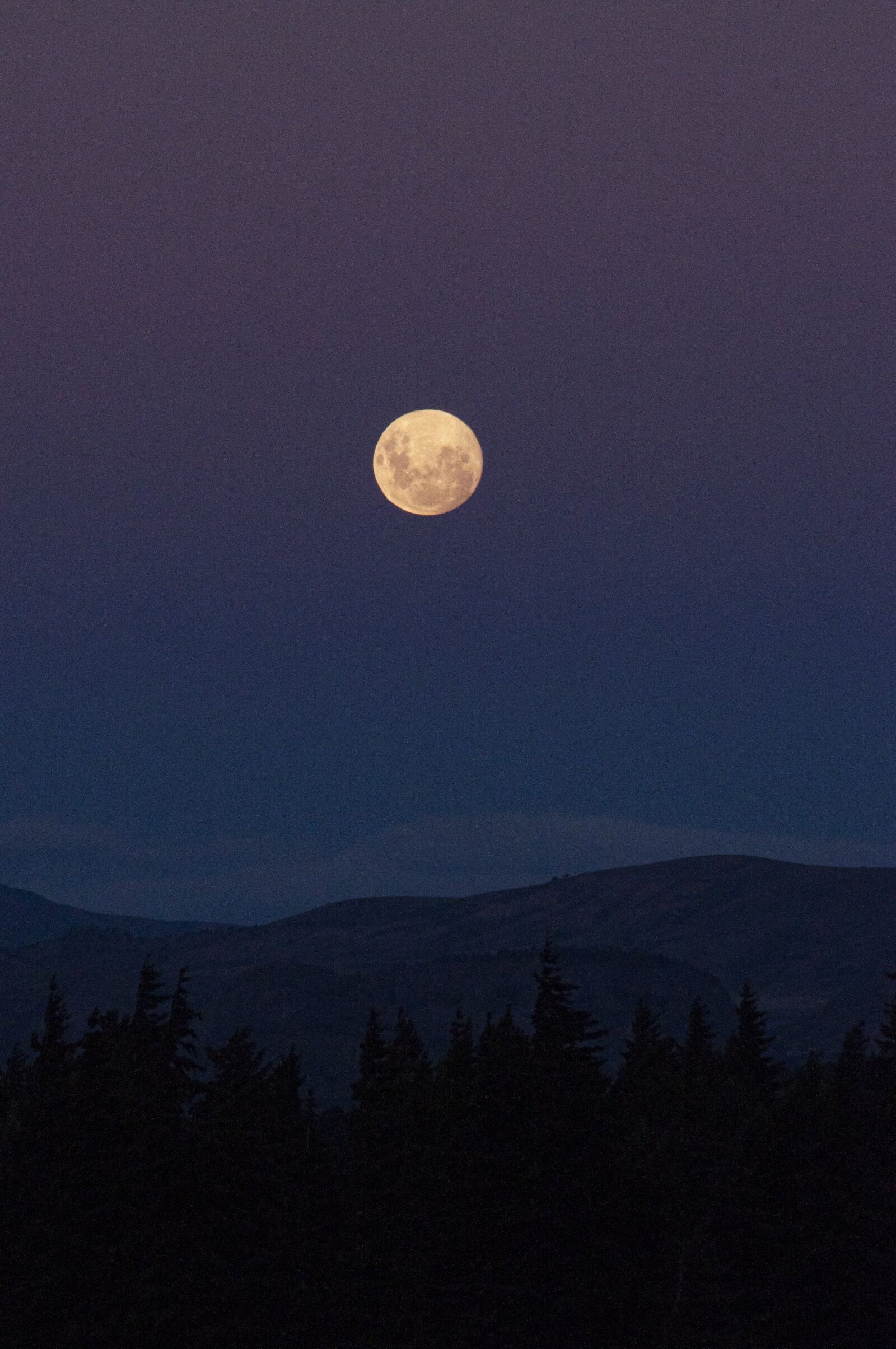 Nikon D5000 sample photo. Moon, landscape, night photography