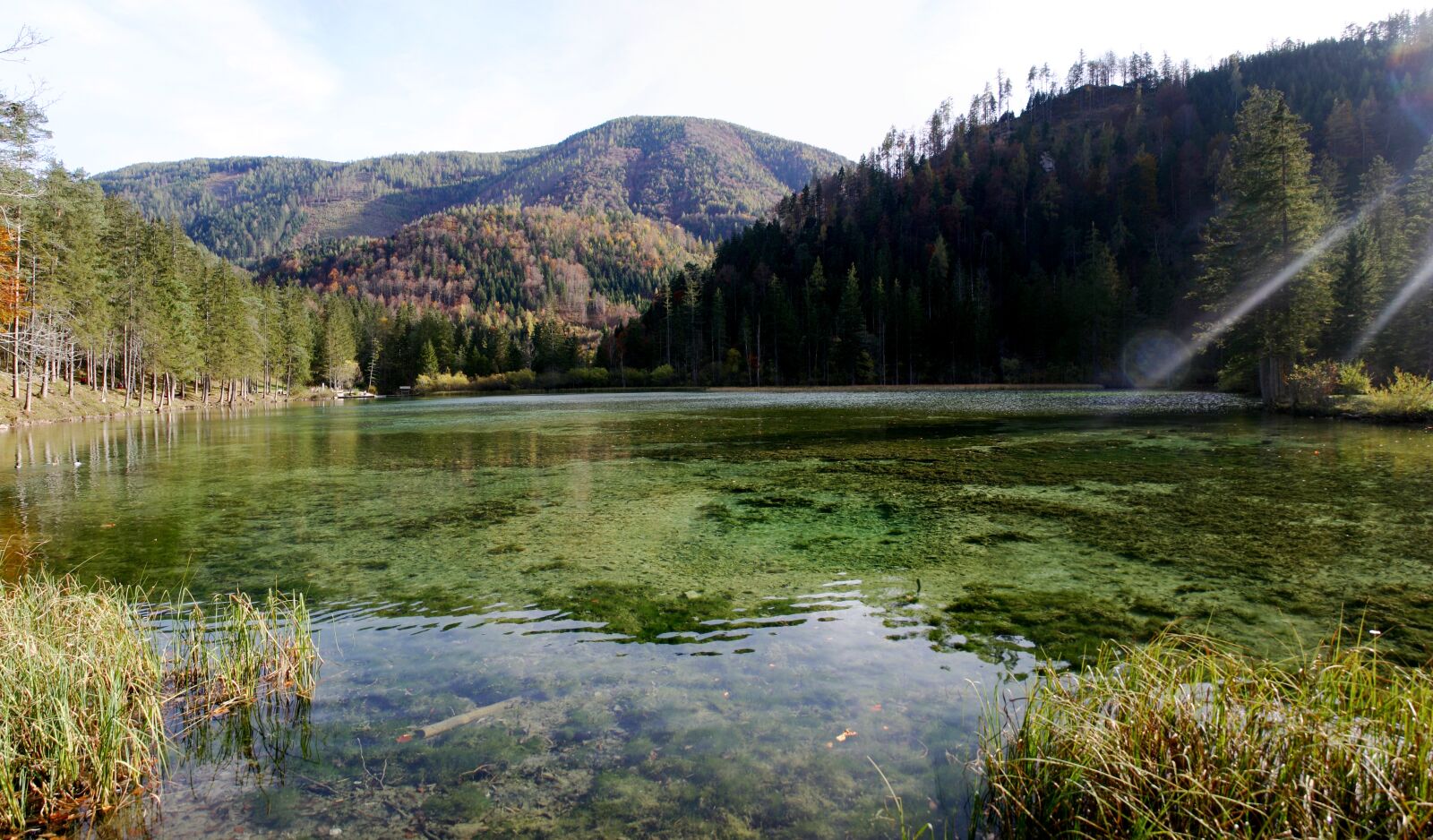 Canon EOS 300D (EOS Digital Rebel / EOS Kiss Digital) sample photo. Schieder pond, hinterstoder, austria photography
