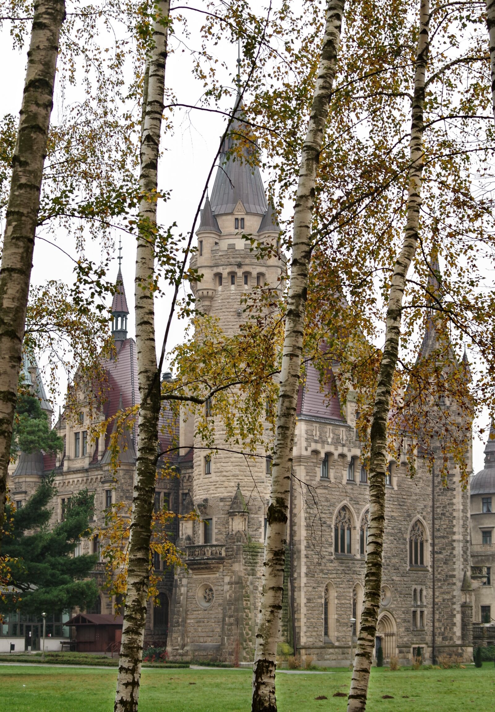 Pentax K-S2 sample photo. The palace, park, forest photography