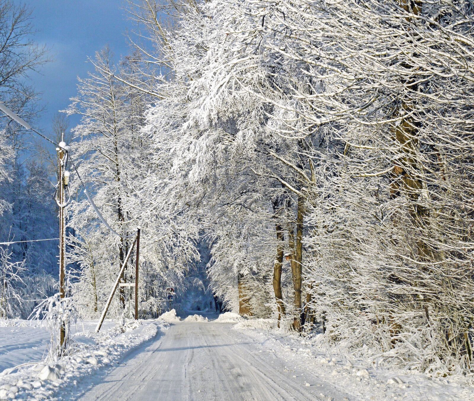 Panasonic Lumix DMC-G1 sample photo. Snow, ice, winter, cold photography
