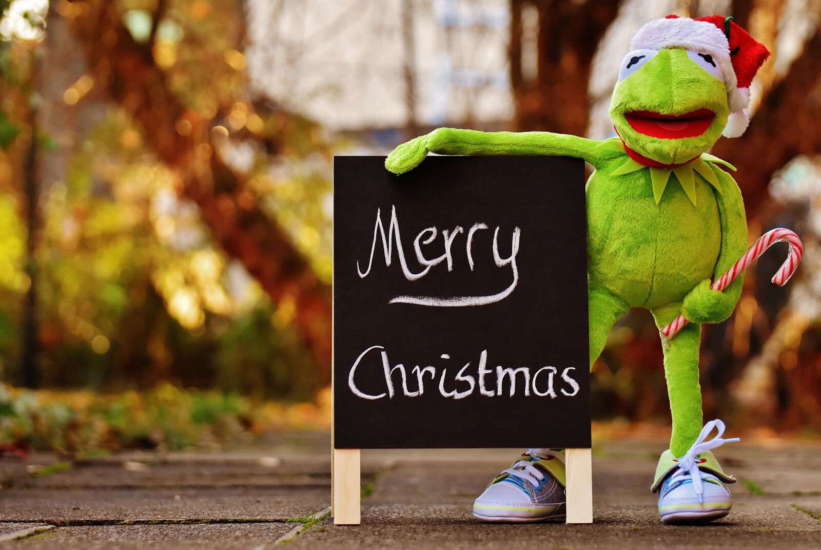 Nikon D7200 sample photo. Kermit, frog, christmas photography