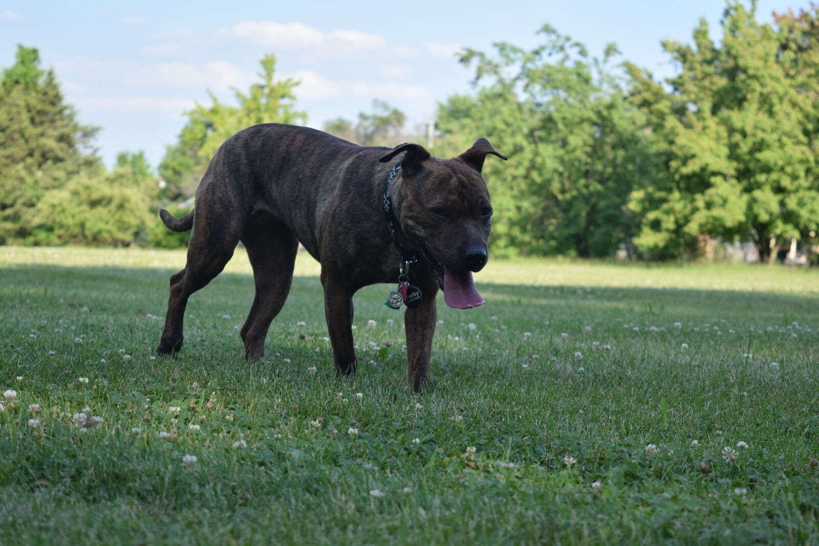 Nikon D3300 sample photo