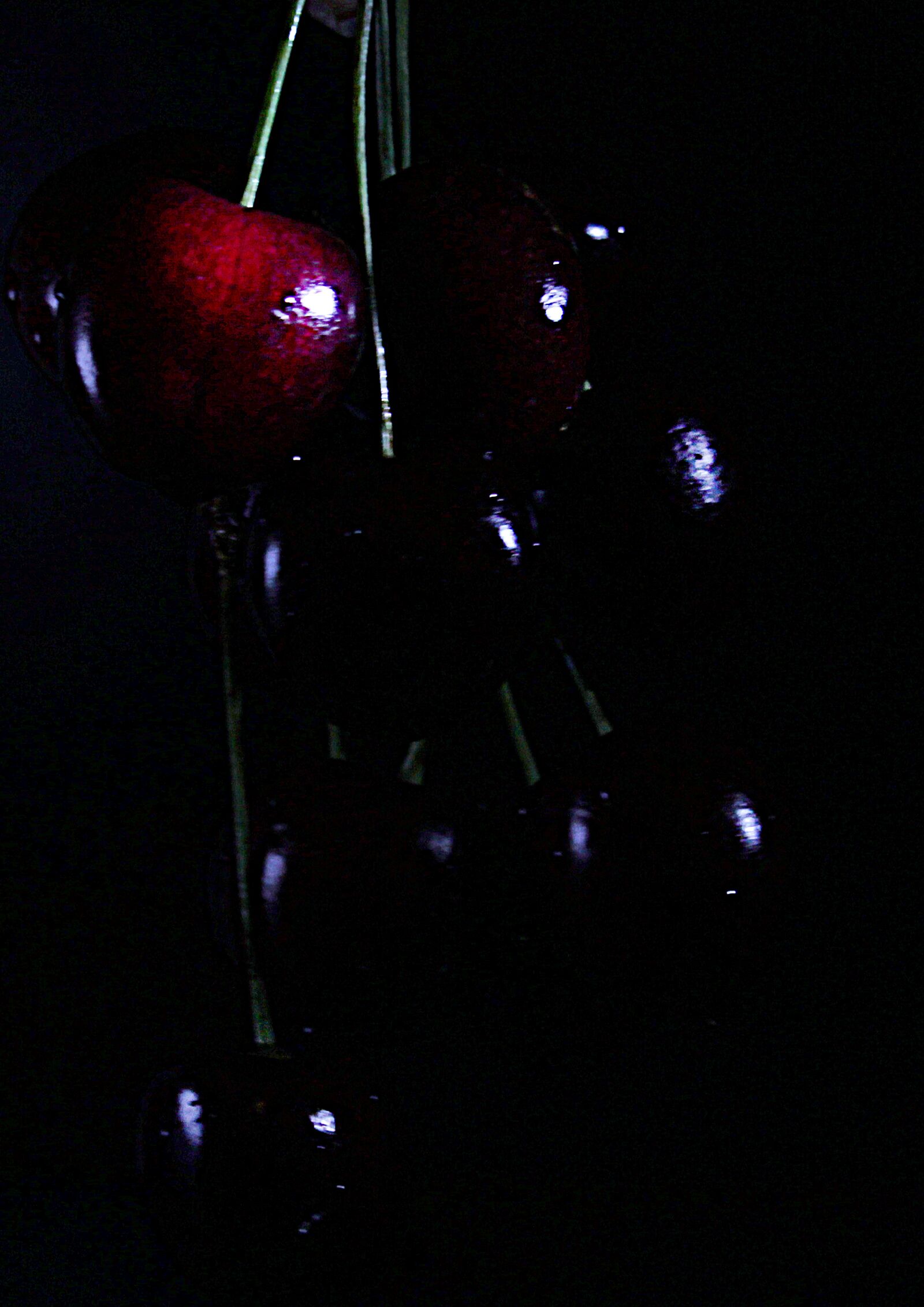 Canon EF-S 55-250mm F4-5.6 IS STM sample photo. Cherry, flowers, still life photography