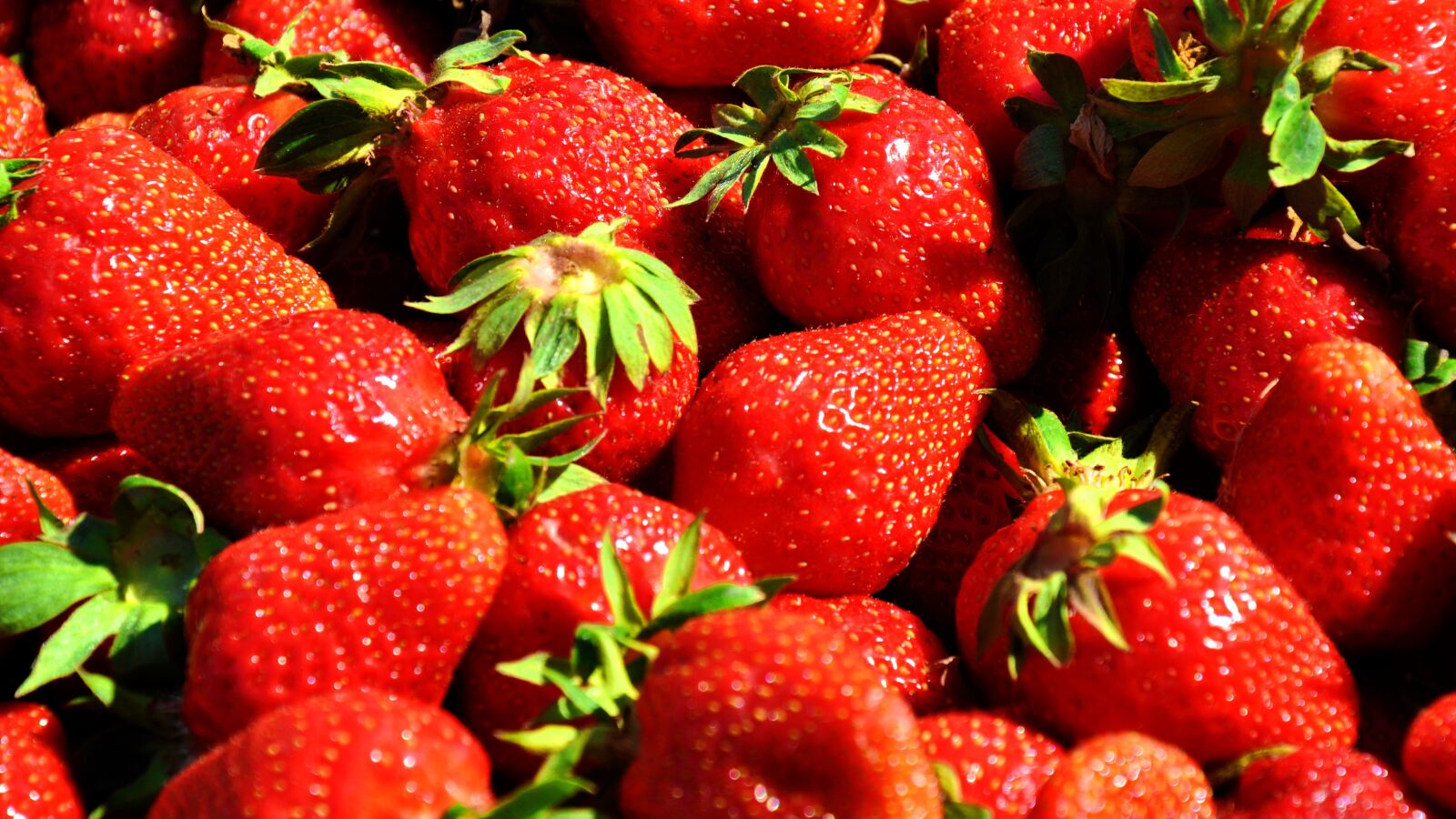 Nikon D90 sample photo. Fruit, strawberry, red strawberries photography