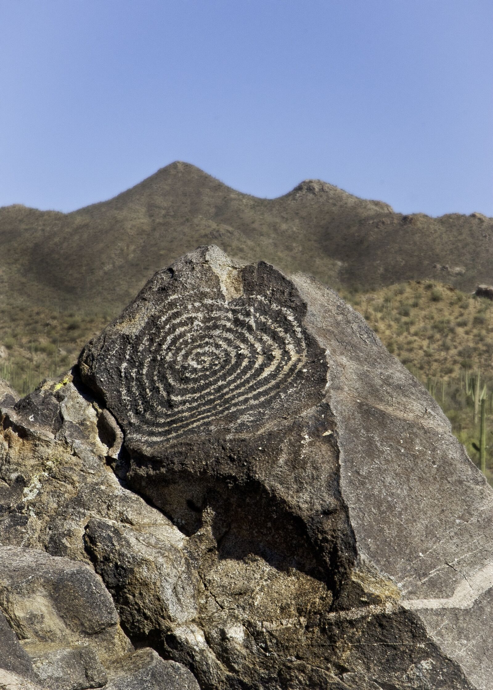 Nikon D200 sample photo. Petroglyph, tucson, arizona photography
