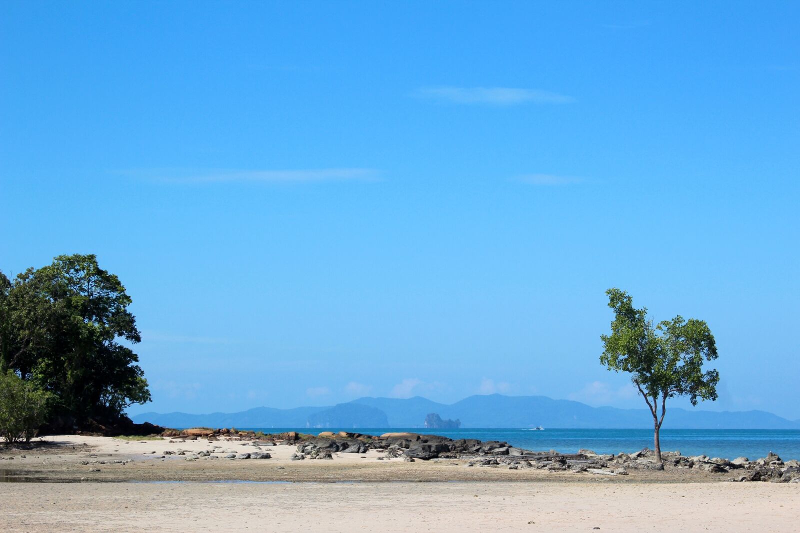 Canon EOS 600D (Rebel EOS T3i / EOS Kiss X5) sample photo. Beach, tree, sea photography