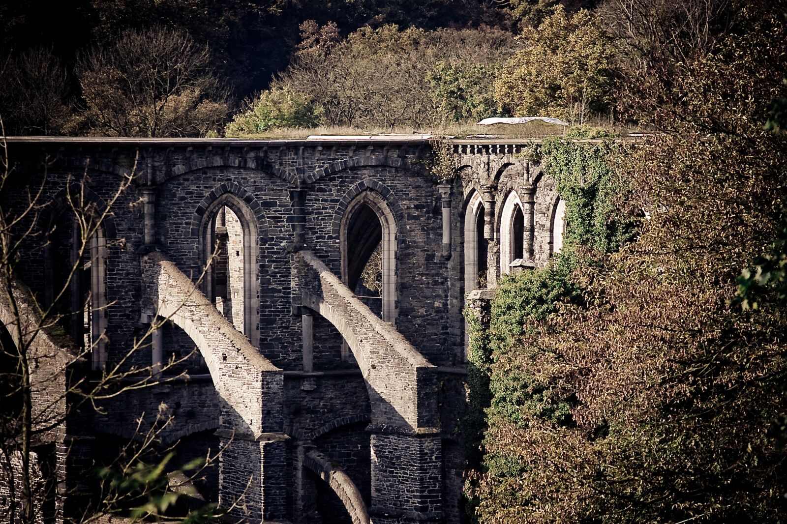 Canon EOS 40D sample photo. Ruin, cathedral, monk photography