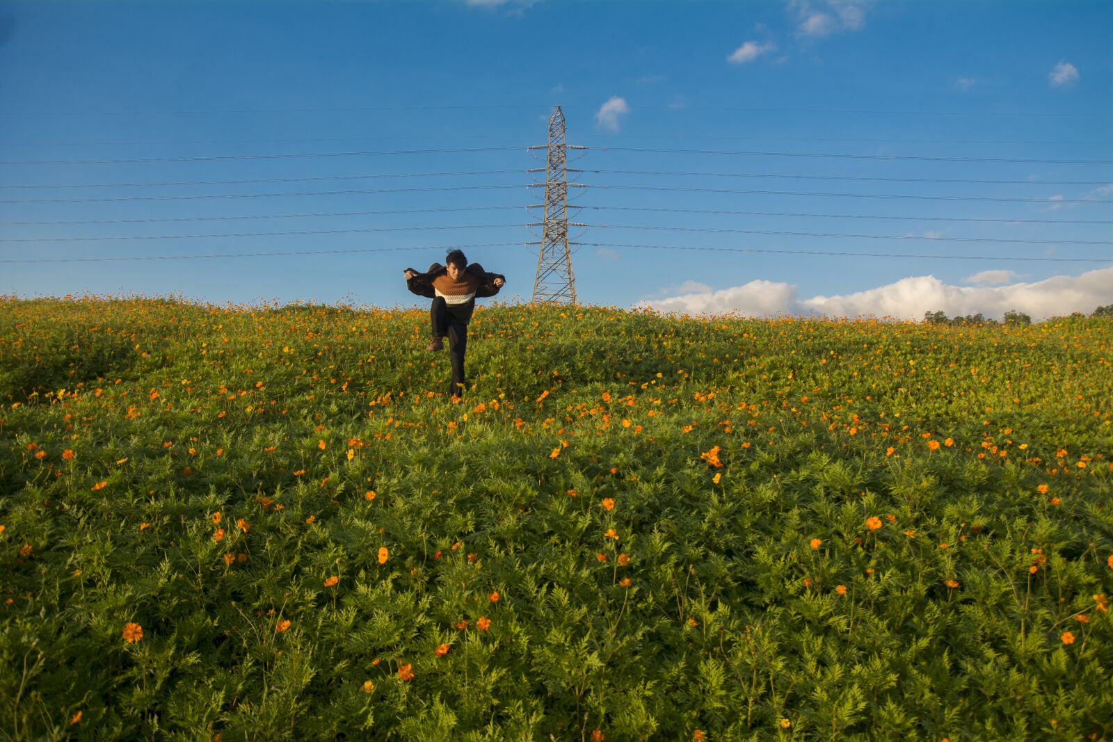 Nikon D7100 sample photo. Field, landscape, agriculture photography