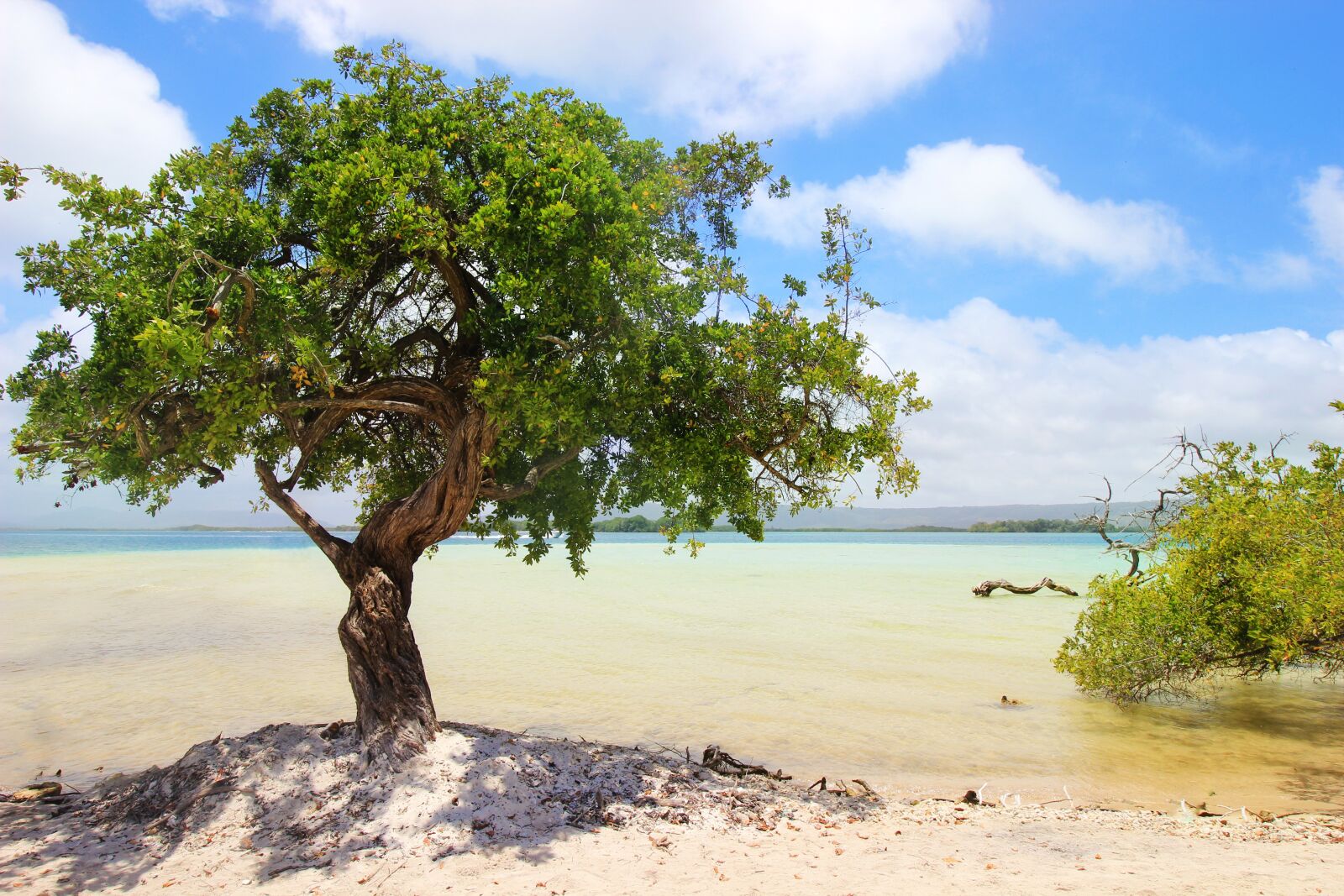 Canon EOS 600D (Rebel EOS T3i / EOS Kiss X5) sample photo. Beach, landscape, ocean photography